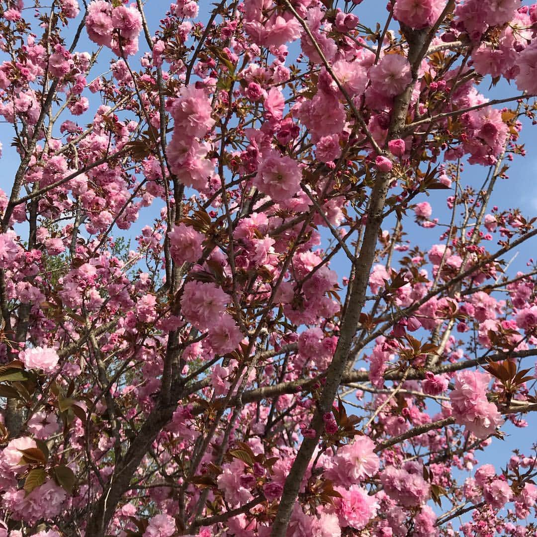 竹岡圭さんのインスタグラム写真 - (竹岡圭Instagram)「今春のお天気は本当にめまぐるしい😅急激に暖かくなってきましたねー😊着るものに迷いますー😆」4月24日 14時35分 - kei_takeoka