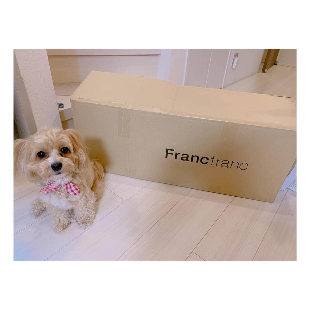 辻希美さんのインスタグラム写真 - (辻希美Instagram)「またまたネットで頼んだFrancfrancグッズが届きましたぁ😘💕 #francfranc  #ネットサーフィン #francfrancブーム #大好き #可愛い #寝る前に必ずと言っていいほどFrancfrancサイト見る #笑 #店頭行きたい〜 #🌸 #荷物とクック #かわぇぇ #❤️」4月24日 14時49分 - tsujinozomi_official