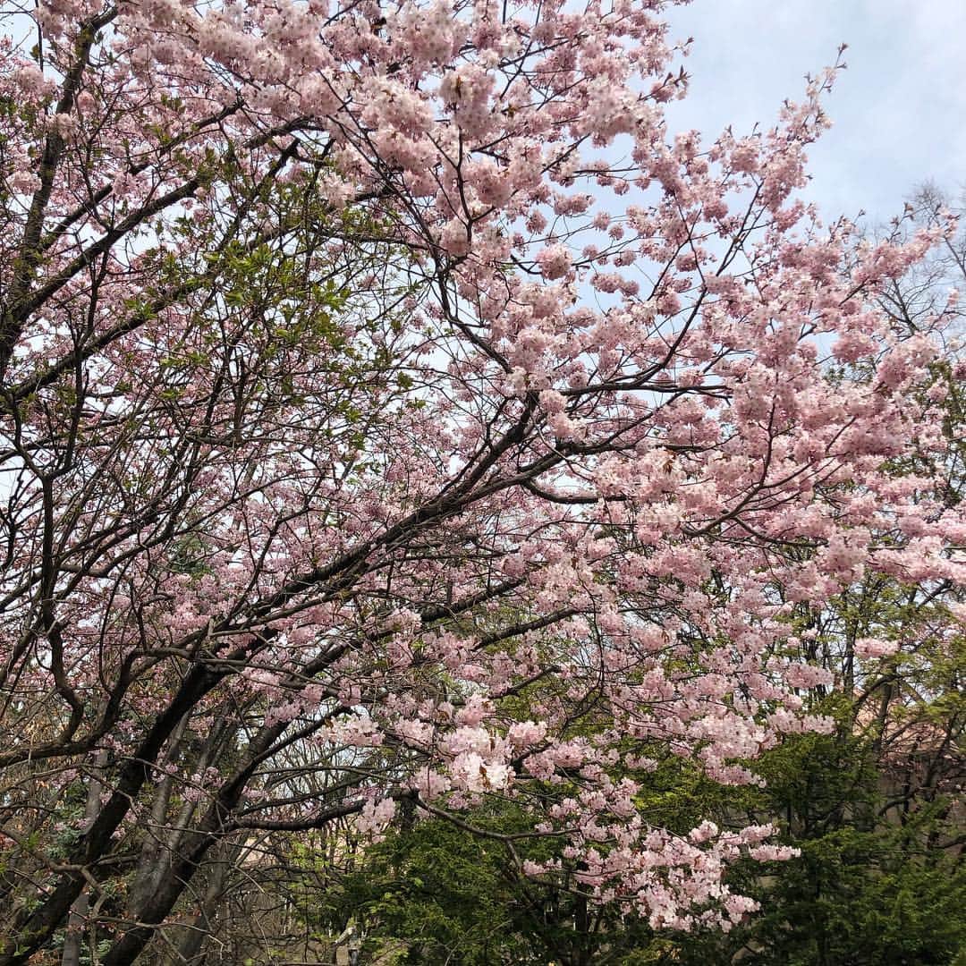 八木隆太郎のグルメインスタ