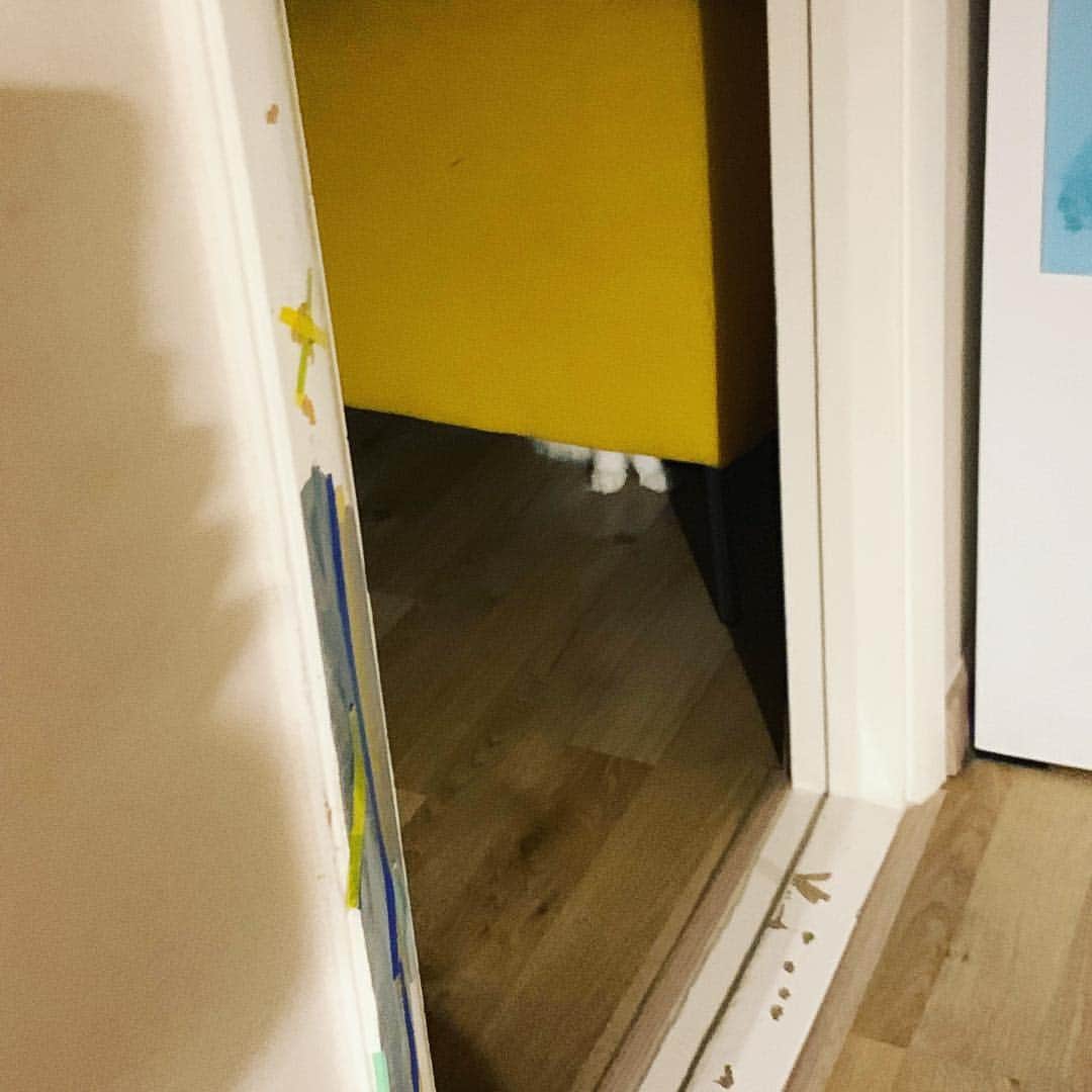 ソン・スヒョンさんのインスタグラム写真 - (ソン・スヒョンInstagram)「야 너 모해 슈짱... 찾아써 그만 나와 #슈짱」4月24日 16時02分 - sohnsuhyun