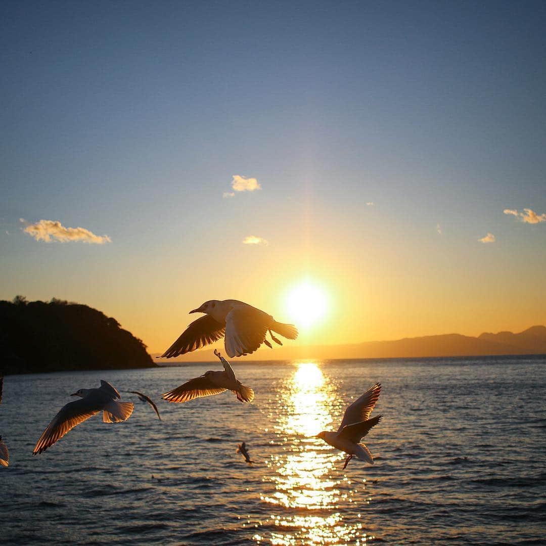 2020年東京オリンピックさんのインスタグラム写真 - (2020年東京オリンピックInstagram)「This is #Enoshima, where the #Tokyo2020 sailing competitions will be held. It is less than one hour away from Tokyo, the perfect destination on a nice summer’s day 🌞 On a clear day, you can also see Mt. Fuji from the Enoshima Bentenbashi Bridge 🗻 . . | Photo by Tokyo 2020」4月24日 16時38分 - tokyo2020