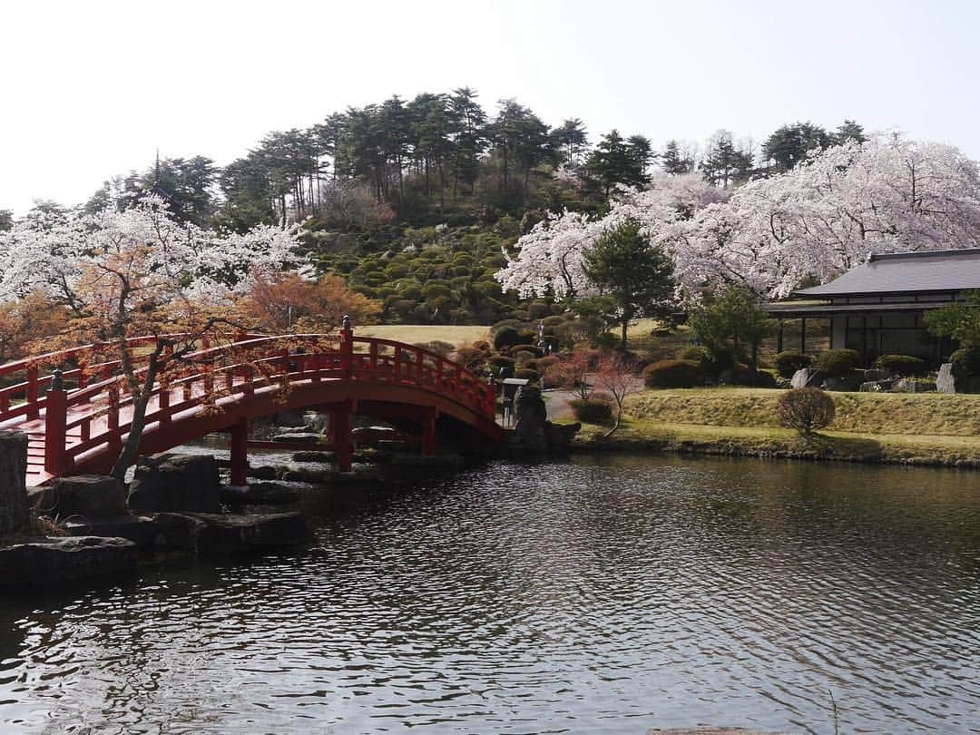 Rediscover Fukushimaさんのインスタグラム写真 - (Rediscover FukushimaInstagram)「Photos taken yesterday at Aizu Mura! (The place in my Instagram story yesterday) 🌸」4月24日 16時49分 - rediscoverfukushima