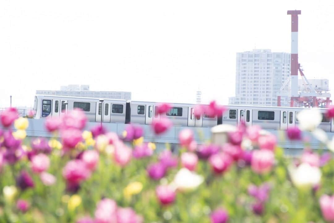 東京都庁広報課のインスタグラム