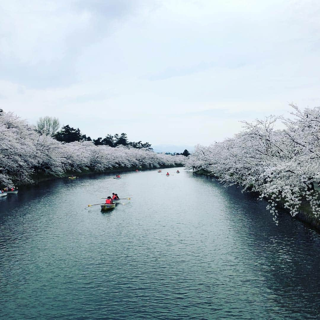 栗原心平さんのインスタグラム写真 - (栗原心平Instagram)「今日は青森県庁さんにお招きいただき、両親を伴い弘前の桜を観に来ました。絶景とはまさにこのことです。りんごの剪定技術を桜に施し、樹齢100年を超えるクラスの桜がゴロゴロ。 大変貴重な経験をさせて頂きました。 ありがとうを伝えても伝わり切らないと思いますが、心の底から感謝感謝。 #栗原心平 #shimpeikurihara #青森 #青森県庁 #弘前 #弘前城 #弘前公園 #弘前桜祭り #弘前さくらまつり」4月24日 16時58分 - shimpei_kurihara