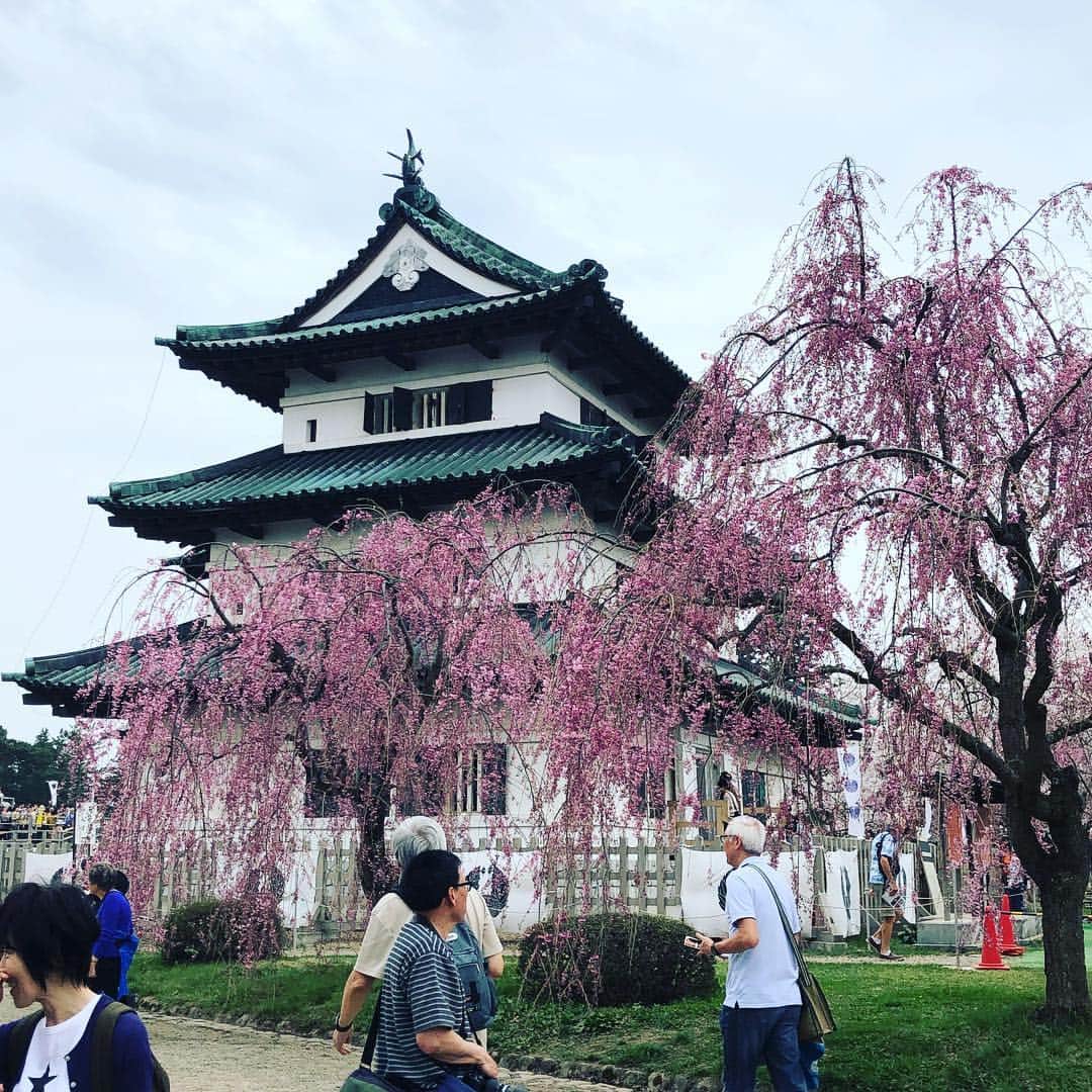 栗原心平さんのインスタグラム写真 - (栗原心平Instagram)「今日は青森県庁さんにお招きいただき、両親を伴い弘前の桜を観に来ました。絶景とはまさにこのことです。りんごの剪定技術を桜に施し、樹齢100年を超えるクラスの桜がゴロゴロ。 大変貴重な経験をさせて頂きました。 ありがとうを伝えても伝わり切らないと思いますが、心の底から感謝感謝。 #栗原心平 #shimpeikurihara #青森 #青森県庁 #弘前 #弘前城 #弘前公園 #弘前桜祭り #弘前さくらまつり」4月24日 16時58分 - shimpei_kurihara