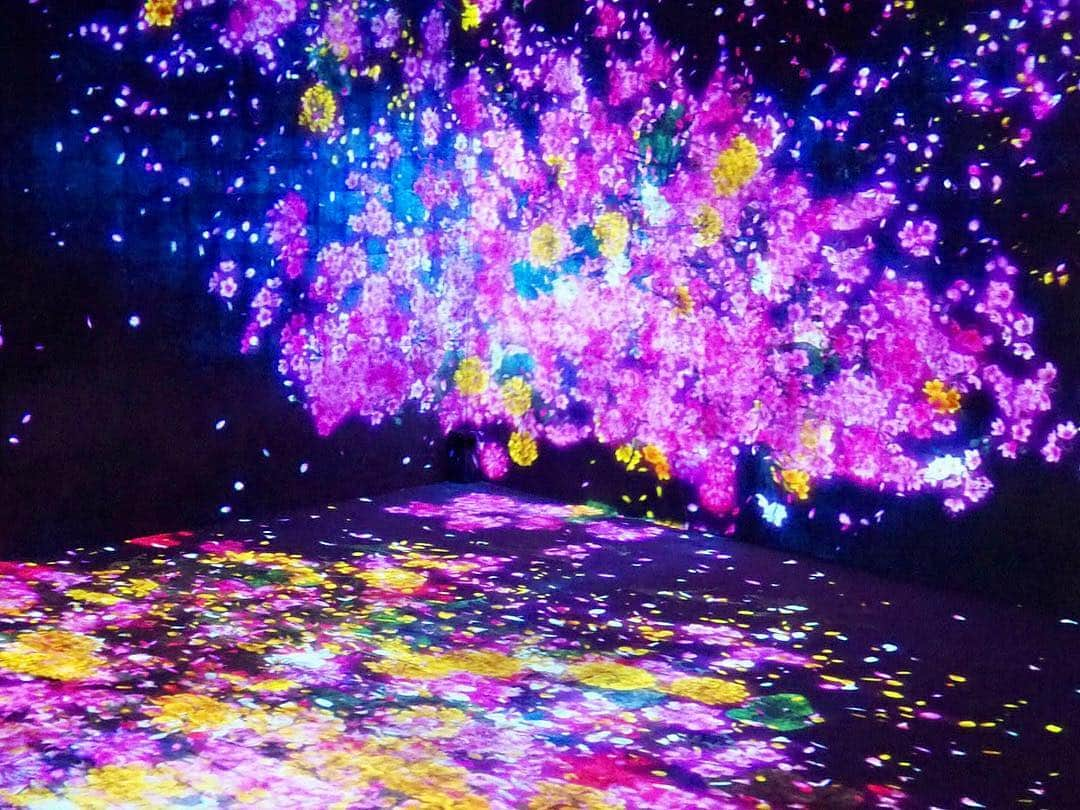 こままりえさんのインスタグラム写真 - (こままりえInstagram)「✴︎ teamLab Borderless🌸 . お台場の「森ビル デジタルアート ミュージアム: エプソン チームラボ ボーダレス」にて デジタルアートで楽しむ お花見イベント開催中〜😉🌸✨ . 娘ちゃんと #桜色コーデ で 平成最後のお花見を満喫です😄 今しかない二人だけの時間大事に過ごしました . エントランスにある 桜を感じられるフォトスポットでは #バイトル のマスコットキャラクターの #チューイチ くんと記念写真も撮れて 「ちゅーちゅーさん❤️」っと 娘ちゃん大満足でした🐭🐭🐭 . バイトルオリジナルノベルティも 可愛くて写真とっちゃった🥰 . #バイトル花見 #promotion #teamLab #Borderless #DIGITALARTMUSEUM #EPSON #teamLabBorderless #チームラボボーダレス #チームラボ #お台場 #桜色コーディネート #バイトル #デジタルアート #花見イベント #平成最後 #平成最後のお花見 #お花見気分 #デジタルアートミュージアム #デジタルアート #エプソン #娘ちゃんの成長記録 #2歳」4月24日 22時47分 - komamarie