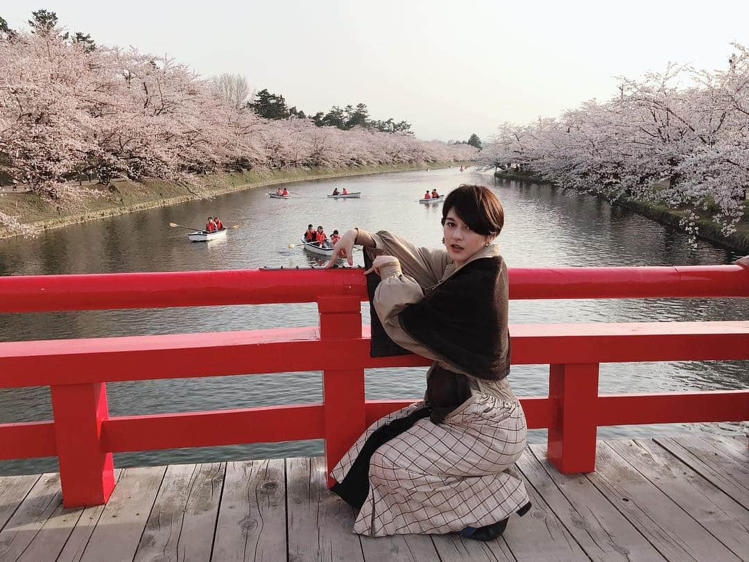 竹中夏海さんのインスタグラム写真 - (竹中夏海Instagram)「東京の桜もさすがに散り切った頃、 祖父の50回忌に青森市と弘前市に行ってきました。 ・ ご先祖さまたちに「あなたの子孫、これで今年8回目のお花見ですよ」と報告しました。 先祖「いいね！」 #弘前さくらまつり」4月24日 17時38分 - tknkntm