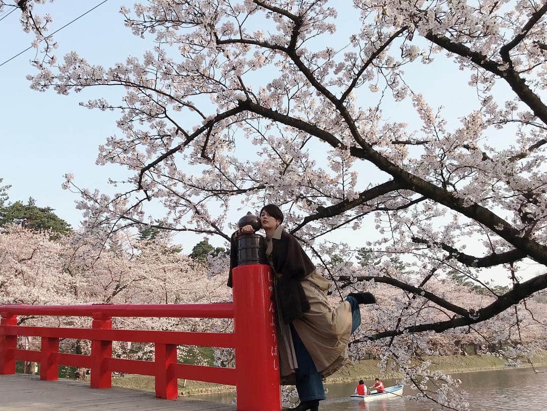 竹中夏海さんのインスタグラム写真 - (竹中夏海Instagram)「東京の桜もさすがに散り切った頃、 祖父の50回忌に青森市と弘前市に行ってきました。 ・ ご先祖さまたちに「あなたの子孫、これで今年8回目のお花見ですよ」と報告しました。 先祖「いいね！」 #弘前さくらまつり」4月24日 17時38分 - tknkntm