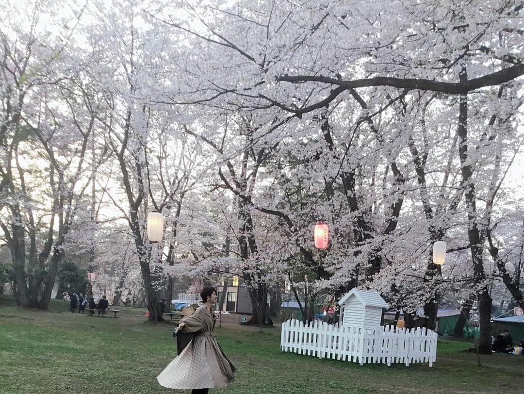 竹中夏海さんのインスタグラム写真 - (竹中夏海Instagram)「東京の桜もさすがに散り切った頃、 祖父の50回忌に青森市と弘前市に行ってきました。 ・ ご先祖さまたちに「あなたの子孫、これで今年8回目のお花見ですよ」と報告しました。 先祖「いいね！」 #弘前さくらまつり」4月24日 17時38分 - tknkntm