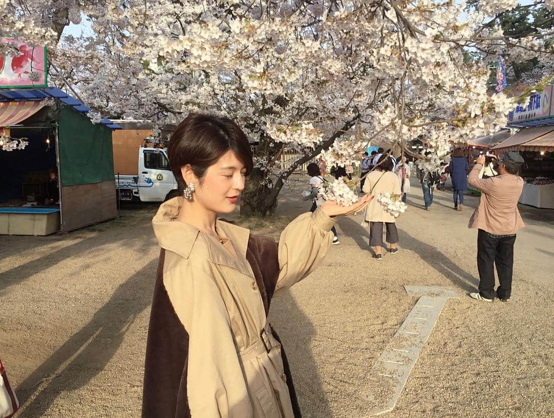 竹中夏海さんのインスタグラム写真 - (竹中夏海Instagram)「東京の桜もさすがに散り切った頃、 祖父の50回忌に青森市と弘前市に行ってきました。 ・ ご先祖さまたちに「あなたの子孫、これで今年8回目のお花見ですよ」と報告しました。 先祖「いいね！」 #弘前さくらまつり」4月24日 17時38分 - tknkntm