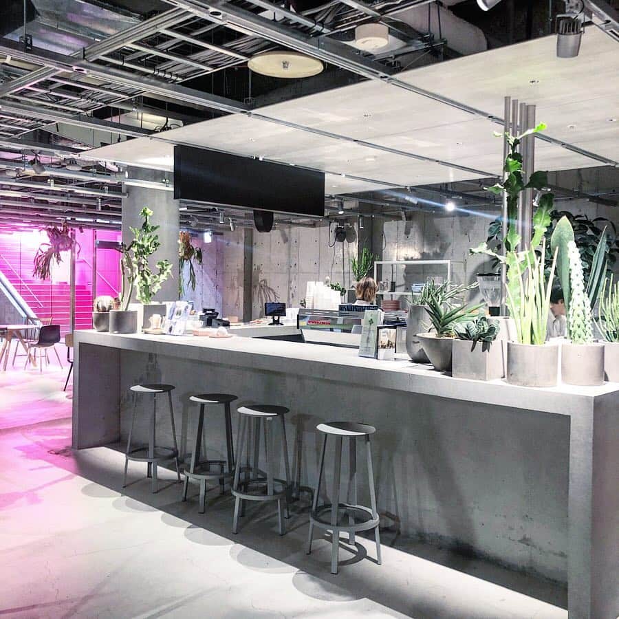 Hiroe Hiranoのグルメインスタ