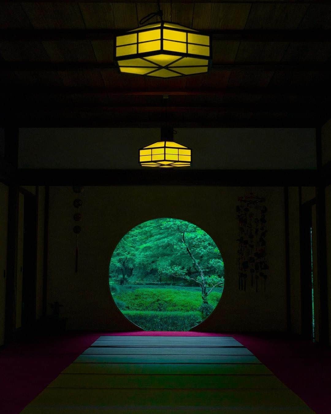 楽天トラベル さんのインスタグラム写真 - (楽天トラベル Instagram)「あじさい寺として有名な#北鎌倉 #明月院 のお写真を @kouki92355 さんにシェアいただきました！素敵なお写真をありがとうございます。 . ************************ 旅先で撮った素敵な写真に @rakutentravel をタグ付けしてシェアしてね♪ 厳選してこのアカウントで紹介させていただきます！ ************************ . #楽天トラベル #楽天  #rakutentravel #旅 #旅行 #旅に出よう #旅行好きな人と繋がりたい #travel #trip #日本 #japan #일본 #instagramjapan #IG_JAPAN #japantrip #kamakura #鎌倉」4月24日 18時00分 - rakutentravel