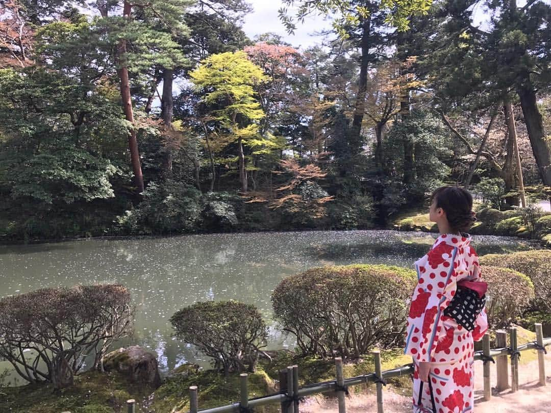 飯窪春菜さんのインスタグラム写真 - (飯窪春菜Instagram)「兼六園へ🌸 あかりさんでお着物を借りました👏🏻 #石川県  #旅行  #金沢  #兼六園  #着物 #はるなの毎日  #飯窪ってる」4月24日 18時29分 - harunaiikubo_official