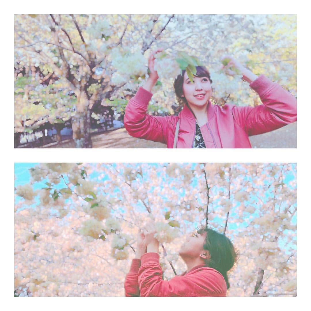 井上麗夢のインスタグラム：「🌸 . . 今考えることが多すぎて 一個一個目の前にあるものと ちょっと先にあることだけ考えて でも多分それを積んでいったら 気がつけば力になってる気がする . . ってことで 息切れしそうな毎日だけど とりあえずがんばろー🔥 . . #平成最後 #息切れ #舞台 #女優 #観劇好きな人と繋がりたい」