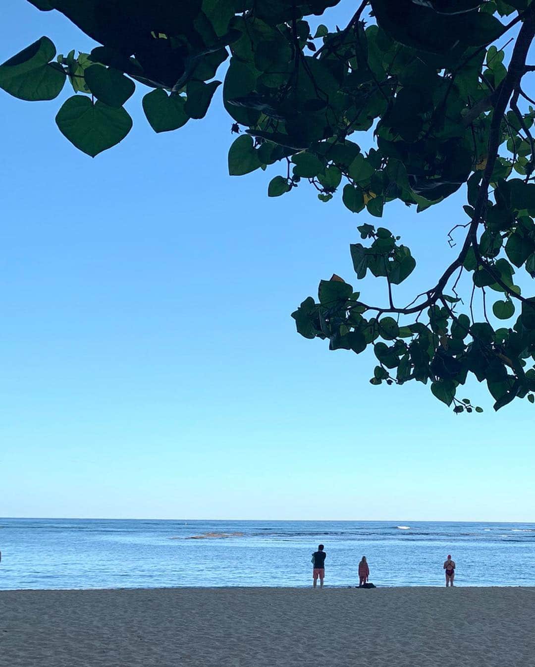 松原汐織さんのインスタグラム写真 - (松原汐織Instagram)「♡ ハワイに今度行かれる方から「オススメを教えてください」とDMをいただき🌴✨ ・ 6月30日放送#BSフジ #夢の休日 をご覧いただきたいのですが、ここでは放送では映らないプライベートで行ったハワイのオススメスポットを紹介させてください❤️❤️❤️ ・ まず、ニューオータニの#hautreelanai 🌺 朝7:00から営業しているので、まだ海に静けさの残るオープンして直ぐの時間に朝ごはんを食べに行くのが🙆🏻💮 ・ エッグベネディクトが絶品でした😋 私が今まで食べたエッグベネディクト史上No.1の美味しさ💕 フレンチトーストも、アーモンドテイストなトーストが美味しいです。アサイーボウルはヨーグルトの量が多めで、さっぱりと朝ごはんらしくて◎ パンケーキはかなり甘党な人以外は人数が４人以上の場合にシェアするのが良いかと！🥞 (写真をスワイプしてみてくださいね📸) ・ 穏やかな朝の海を眺めながら、ピンクの世界観にズキュン💘 女子旅にピッタリのスポットです！ ・ #汐織の旅日記 #ハワイ #ホノルル #女子旅 #エッグベネディクト #フレンチトースト #アサイーボウル #Hawaii」4月24日 19時48分 - shiori_ma_