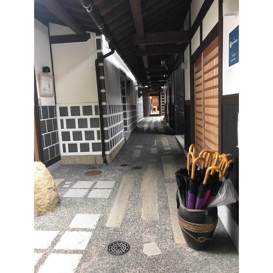 本田裕子さんのインスタグラム写真 - (本田裕子Instagram)「【その後の急展開と、最短の有難い流れ】 . 前回の記事に書きましたが、一昨日、かかりつけの先生が都内の大学病院に電話したところ、まりんの初診が連休明けになるとのことで、私はまた岡山の病院に電話しました。 . 先週の土曜日も一昨日も☎︎ 私が必死にまりんの話をしていたら🐶、「明日の始発で来てください」と言われ、昨日🚅6時の始発に乗って、まりんを連れて岡山に。 （当初は最短で週末だと伺っていたのに&実際🐶混んでいた中、本当に有難いです） . まりんは昨日そのまま入院し、CT検査をはじめ、様々な検査や診察をしていただき、明日手術をします。 . 検査や診断の結果、まりんの肝臓は正常なワンコの3分の1しかなく（小さく）、肝臓内の（必要な）血管の発達もほとんどない状態の門脈シャントで、一度にシャント血管を閉鎖すると、極度に門脈圧が亢進して門脈高血圧症（チアノーゼ、腸内毒素によるショックや心拍数の増加などの発作）が起きる可能性が高い（発作が起きたら24時間以内に死亡する可能性が高い）から、明日は部分結紮にとどめて肝臓内の血管の発達（と肝臓の発達）の促すことになりそう。 . そして、2ヶ月後、再手術することに。 （シャントのワンコは、7割が一度の手術で済むらしいのですが、まりんの場合は二度必要になりそう） . で、シャント結紮の合併症として、術後に原因不明のてんかんや痙攣状態が起きることがあって、それが起きた場合、そこからの回復の可能性は低いらしく、又、元々体内に毒素が巡っている状態でもあるほか、体に十分な糖分の蓄えがないこともあり、低血糖の問題も起きやすいとのこと。 . ですが、こちらの先生はそれらも熟知されていて、肝臓やシャントのスペリャリスト。 いろいろ詳しく丁寧にお話して下さり、動物愛に溢れていて、あたたかいお人柄で、強くて優しいお方で、心から信頼しています。 . まりんは今の状態だと余命1年だとおっしゃっていましたし、最短で最高の名医に巡り会えたこと、本当に恵まれています✨ . あと、もしまりんを先に避妊手術していたら、麻酔から目が覚めていなかったとのことで、本当まりんは強運の🐶です❣️ . CT検査の全身麻酔でも、まりんはかなり麻酔から覚めるのが遅かったみたいで。 （先生は想定済みで検査して下さいました） . 今回、一緒に避妊手術もしていただくのですが、まりんは肝臓が小さくお腹を開けてみて耐えられそうになければ、肝臓を育ててからの次回になるかもです。 . 先生は、「手術してしっかり治して、まりんちゃん本来の寿命15年、いや18年に戻しましょう！」ということで、先生は口にはしなかったけど、自信に満ちていました✨ . わたしはまりんの生命力や、先生を信頼していますし、これだけ沢山の愛を沢山の方から頂戴しているハッピー姫🐶💕 （門脈シャントはほとんどが先天性のもので、無謀なブリーディング（繁殖）が生み出していたり、お母さんが妊娠中に体調を崩したり等、してなるそうで、純真無垢で無邪気なまりんは本来の寿命に戻ります！！） . ここは岡山でもかなりの山奥で、いろいろ大変だったけど、ほんと来て良かった。 . 又、わたし自身もたくさんの幸運や、あたたかい人との出会いに恵まれています。 . そもそもかなり離れたところにしか宿がなくて、私は福岡の実家に帰ろうと思っていたけど体力的にヘロヘロでw 時間も遅くなり、わりと近くの宿が残り1室とれたり、開いてないお蕎麦屋さんのおばちゃんが私が1人キョロキョロしてたら開けてくれて、お蕎麦を出してくれたり（そもそも他にお店もなかった）宿の方やタクシーの運転手さんはじめ他にも沢山🙏✨（沢山エピソードあるから機会があれば又ゆっくり♡） . そして、今わたしは不思議と凄く冷静です✨ . まずは明日の手術。 . すべてを信頼して委ねます。 . .」4月24日 20時08分 - rinrin_yuko