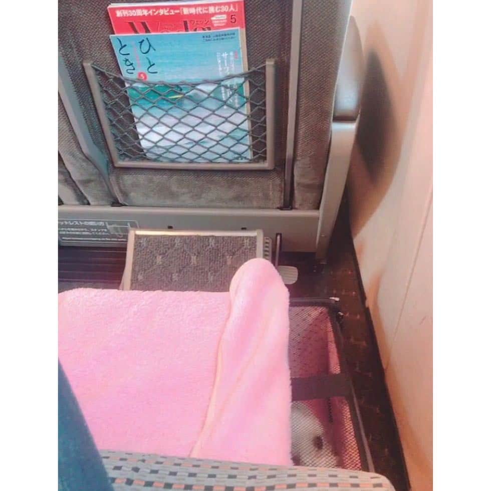 本田裕子さんのインスタグラム写真 - (本田裕子Instagram)「【その後の急展開と、最短の有難い流れ】 . 前回の記事に書きましたが、一昨日、かかりつけの先生が都内の大学病院に電話したところ、まりんの初診が連休明けになるとのことで、私はまた岡山の病院に電話しました。 . 先週の土曜日も一昨日も☎︎ 私が必死にまりんの話をしていたら🐶、「明日の始発で来てください」と言われ、昨日🚅6時の始発に乗って、まりんを連れて岡山に。 （当初は最短で週末だと伺っていたのに&実際🐶混んでいた中、本当に有難いです） . まりんは昨日そのまま入院し、CT検査をはじめ、様々な検査や診察をしていただき、明日手術をします。 . 検査や診断の結果、まりんの肝臓は正常なワンコの3分の1しかなく（小さく）、肝臓内の（必要な）血管の発達もほとんどない状態の門脈シャントで、一度にシャント血管を閉鎖すると、極度に門脈圧が亢進して門脈高血圧症（チアノーゼ、腸内毒素によるショックや心拍数の増加などの発作）が起きる可能性が高い（発作が起きたら24時間以内に死亡する可能性が高い）から、明日は部分結紮にとどめて肝臓内の血管の発達（と肝臓の発達）の促すことになりそう。 . そして、2ヶ月後、再手術することに。 （シャントのワンコは、7割が一度の手術で済むらしいのですが、まりんの場合は二度必要になりそう） . で、シャント結紮の合併症として、術後に原因不明のてんかんや痙攣状態が起きることがあって、それが起きた場合、そこからの回復の可能性は低いらしく、又、元々体内に毒素が巡っている状態でもあるほか、体に十分な糖分の蓄えがないこともあり、低血糖の問題も起きやすいとのこと。 . ですが、こちらの先生はそれらも熟知されていて、肝臓やシャントのスペリャリスト。 いろいろ詳しく丁寧にお話して下さり、動物愛に溢れていて、あたたかいお人柄で、強くて優しいお方で、心から信頼しています。 . まりんは今の状態だと余命1年だとおっしゃっていましたし、最短で最高の名医に巡り会えたこと、本当に恵まれています✨ . あと、もしまりんを先に避妊手術していたら、麻酔から目が覚めていなかったとのことで、本当まりんは強運の🐶です❣️ . CT検査の全身麻酔でも、まりんはかなり麻酔から覚めるのが遅かったみたいで。 （先生は想定済みで検査して下さいました） . 今回、一緒に避妊手術もしていただくのですが、まりんは肝臓が小さくお腹を開けてみて耐えられそうになければ、肝臓を育ててからの次回になるかもです。 . 先生は、「手術してしっかり治して、まりんちゃん本来の寿命15年、いや18年に戻しましょう！」ということで、先生は口にはしなかったけど、自信に満ちていました✨ . わたしはまりんの生命力や、先生を信頼していますし、これだけ沢山の愛を沢山の方から頂戴しているハッピー姫🐶💕 （門脈シャントはほとんどが先天性のもので、無謀なブリーディング（繁殖）が生み出していたり、お母さんが妊娠中に体調を崩したり等、してなるそうで、純真無垢で無邪気なまりんは本来の寿命に戻ります！！） . ここは岡山でもかなりの山奥で、いろいろ大変だったけど、ほんと来て良かった。 . 又、わたし自身もたくさんの幸運や、あたたかい人との出会いに恵まれています。 . そもそもかなり離れたところにしか宿がなくて、私は福岡の実家に帰ろうと思っていたけど体力的にヘロヘロでw 時間も遅くなり、わりと近くの宿が残り1室とれたり、開いてないお蕎麦屋さんのおばちゃんが私が1人キョロキョロしてたら開けてくれて、お蕎麦を出してくれたり（そもそも他にお店もなかった）宿の方やタクシーの運転手さんはじめ他にも沢山🙏✨（沢山エピソードあるから機会があれば又ゆっくり♡） . そして、今わたしは不思議と凄く冷静です✨ . まずは明日の手術。 . すべてを信頼して委ねます。 . .」4月24日 20時08分 - rinrin_yuko
