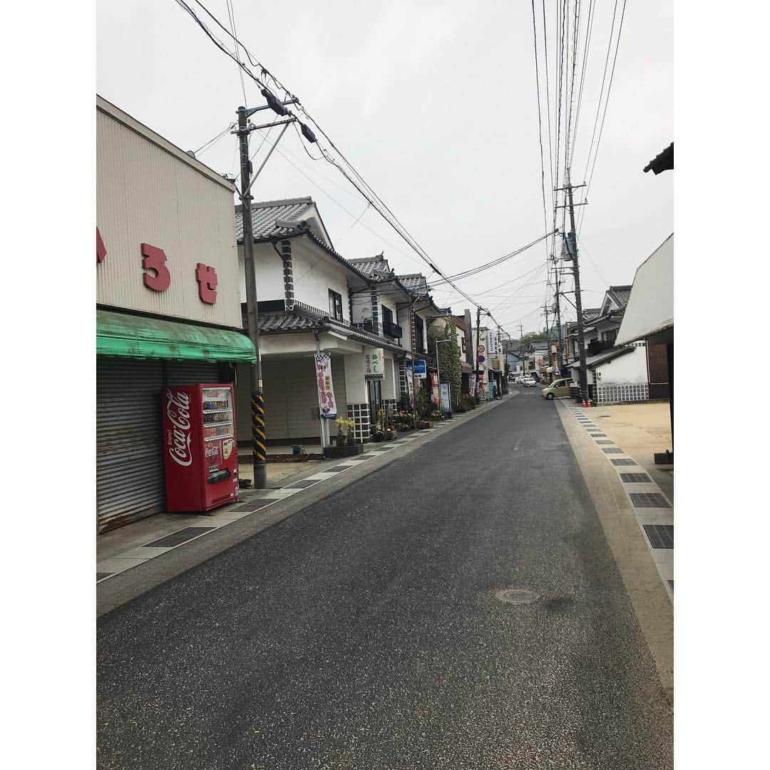 本田裕子さんのインスタグラム写真 - (本田裕子Instagram)「【その後の急展開と、最短の有難い流れ】 . 前回の記事に書きましたが、一昨日、かかりつけの先生が都内の大学病院に電話したところ、まりんの初診が連休明けになるとのことで、私はまた岡山の病院に電話しました。 . 先週の土曜日も一昨日も☎︎ 私が必死にまりんの話をしていたら🐶、「明日の始発で来てください」と言われ、昨日🚅6時の始発に乗って、まりんを連れて岡山に。 （当初は最短で週末だと伺っていたのに&実際🐶混んでいた中、本当に有難いです） . まりんは昨日そのまま入院し、CT検査をはじめ、様々な検査や診察をしていただき、明日手術をします。 . 検査や診断の結果、まりんの肝臓は正常なワンコの3分の1しかなく（小さく）、肝臓内の（必要な）血管の発達もほとんどない状態の門脈シャントで、一度にシャント血管を閉鎖すると、極度に門脈圧が亢進して門脈高血圧症（チアノーゼ、腸内毒素によるショックや心拍数の増加などの発作）が起きる可能性が高い（発作が起きたら24時間以内に死亡する可能性が高い）から、明日は部分結紮にとどめて肝臓内の血管の発達（と肝臓の発達）の促すことになりそう。 . そして、2ヶ月後、再手術することに。 （シャントのワンコは、7割が一度の手術で済むらしいのですが、まりんの場合は二度必要になりそう） . で、シャント結紮の合併症として、術後に原因不明のてんかんや痙攣状態が起きることがあって、それが起きた場合、そこからの回復の可能性は低いらしく、又、元々体内に毒素が巡っている状態でもあるほか、体に十分な糖分の蓄えがないこともあり、低血糖の問題も起きやすいとのこと。 . ですが、こちらの先生はそれらも熟知されていて、肝臓やシャントのスペリャリスト。 いろいろ詳しく丁寧にお話して下さり、動物愛に溢れていて、あたたかいお人柄で、強くて優しいお方で、心から信頼しています。 . まりんは今の状態だと余命1年だとおっしゃっていましたし、最短で最高の名医に巡り会えたこと、本当に恵まれています✨ . あと、もしまりんを先に避妊手術していたら、麻酔から目が覚めていなかったとのことで、本当まりんは強運の🐶です❣️ . CT検査の全身麻酔でも、まりんはかなり麻酔から覚めるのが遅かったみたいで。 （先生は想定済みで検査して下さいました） . 今回、一緒に避妊手術もしていただくのですが、まりんは肝臓が小さくお腹を開けてみて耐えられそうになければ、肝臓を育ててからの次回になるかもです。 . 先生は、「手術してしっかり治して、まりんちゃん本来の寿命15年、いや18年に戻しましょう！」ということで、先生は口にはしなかったけど、自信に満ちていました✨ . わたしはまりんの生命力や、先生を信頼していますし、これだけ沢山の愛を沢山の方から頂戴しているハッピー姫🐶💕 （門脈シャントはほとんどが先天性のもので、無謀なブリーディング（繁殖）が生み出していたり、お母さんが妊娠中に体調を崩したり等、してなるそうで、純真無垢で無邪気なまりんは本来の寿命に戻ります！！） . ここは岡山でもかなりの山奥で、いろいろ大変だったけど、ほんと来て良かった。 . 又、わたし自身もたくさんの幸運や、あたたかい人との出会いに恵まれています。 . そもそもかなり離れたところにしか宿がなくて、私は福岡の実家に帰ろうと思っていたけど体力的にヘロヘロでw 時間も遅くなり、わりと近くの宿が残り1室とれたり、開いてないお蕎麦屋さんのおばちゃんが私が1人キョロキョロしてたら開けてくれて、お蕎麦を出してくれたり（そもそも他にお店もなかった）宿の方やタクシーの運転手さんはじめ他にも沢山🙏✨（沢山エピソードあるから機会があれば又ゆっくり♡） . そして、今わたしは不思議と凄く冷静です✨ . まずは明日の手術。 . すべてを信頼して委ねます。 . .」4月24日 20時08分 - rinrin_yuko
