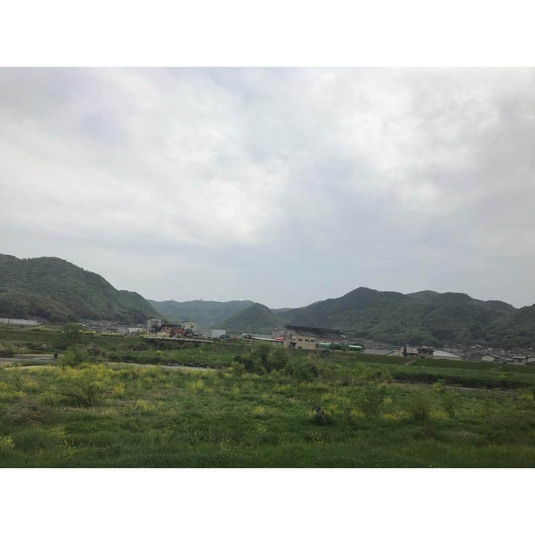 本田裕子さんのインスタグラム写真 - (本田裕子Instagram)「【その後の急展開と、最短の有難い流れ】 . 前回の記事に書きましたが、一昨日、かかりつけの先生が都内の大学病院に電話したところ、まりんの初診が連休明けになるとのことで、私はまた岡山の病院に電話しました。 . 先週の土曜日も一昨日も☎︎ 私が必死にまりんの話をしていたら🐶、「明日の始発で来てください」と言われ、昨日🚅6時の始発に乗って、まりんを連れて岡山に。 （当初は最短で週末だと伺っていたのに&実際🐶混んでいた中、本当に有難いです） . まりんは昨日そのまま入院し、CT検査をはじめ、様々な検査や診察をしていただき、明日手術をします。 . 検査や診断の結果、まりんの肝臓は正常なワンコの3分の1しかなく（小さく）、肝臓内の（必要な）血管の発達もほとんどない状態の門脈シャントで、一度にシャント血管を閉鎖すると、極度に門脈圧が亢進して門脈高血圧症（チアノーゼ、腸内毒素によるショックや心拍数の増加などの発作）が起きる可能性が高い（発作が起きたら24時間以内に死亡する可能性が高い）から、明日は部分結紮にとどめて肝臓内の血管の発達（と肝臓の発達）の促すことになりそう。 . そして、2ヶ月後、再手術することに。 （シャントのワンコは、7割が一度の手術で済むらしいのですが、まりんの場合は二度必要になりそう） . で、シャント結紮の合併症として、術後に原因不明のてんかんや痙攣状態が起きることがあって、それが起きた場合、そこからの回復の可能性は低いらしく、又、元々体内に毒素が巡っている状態でもあるほか、体に十分な糖分の蓄えがないこともあり、低血糖の問題も起きやすいとのこと。 . ですが、こちらの先生はそれらも熟知されていて、肝臓やシャントのスペリャリスト。 いろいろ詳しく丁寧にお話して下さり、動物愛に溢れていて、あたたかいお人柄で、強くて優しいお方で、心から信頼しています。 . まりんは今の状態だと余命1年だとおっしゃっていましたし、最短で最高の名医に巡り会えたこと、本当に恵まれています✨ . あと、もしまりんを先に避妊手術していたら、麻酔から目が覚めていなかったとのことで、本当まりんは強運の🐶です❣️ . CT検査の全身麻酔でも、まりんはかなり麻酔から覚めるのが遅かったみたいで。 （先生は想定済みで検査して下さいました） . 今回、一緒に避妊手術もしていただくのですが、まりんは肝臓が小さくお腹を開けてみて耐えられそうになければ、肝臓を育ててからの次回になるかもです。 . 先生は、「手術してしっかり治して、まりんちゃん本来の寿命15年、いや18年に戻しましょう！」ということで、先生は口にはしなかったけど、自信に満ちていました✨ . わたしはまりんの生命力や、先生を信頼していますし、これだけ沢山の愛を沢山の方から頂戴しているハッピー姫🐶💕 （門脈シャントはほとんどが先天性のもので、無謀なブリーディング（繁殖）が生み出していたり、お母さんが妊娠中に体調を崩したり等、してなるそうで、純真無垢で無邪気なまりんは本来の寿命に戻ります！！） . ここは岡山でもかなりの山奥で、いろいろ大変だったけど、ほんと来て良かった。 . 又、わたし自身もたくさんの幸運や、あたたかい人との出会いに恵まれています。 . そもそもかなり離れたところにしか宿がなくて、私は福岡の実家に帰ろうと思っていたけど体力的にヘロヘロでw 時間も遅くなり、わりと近くの宿が残り1室とれたり、開いてないお蕎麦屋さんのおばちゃんが私が1人キョロキョロしてたら開けてくれて、お蕎麦を出してくれたり（そもそも他にお店もなかった）宿の方やタクシーの運転手さんはじめ他にも沢山🙏✨（沢山エピソードあるから機会があれば又ゆっくり♡） . そして、今わたしは不思議と凄く冷静です✨ . まずは明日の手術。 . すべてを信頼して委ねます。 . .」4月24日 20時08分 - rinrin_yuko
