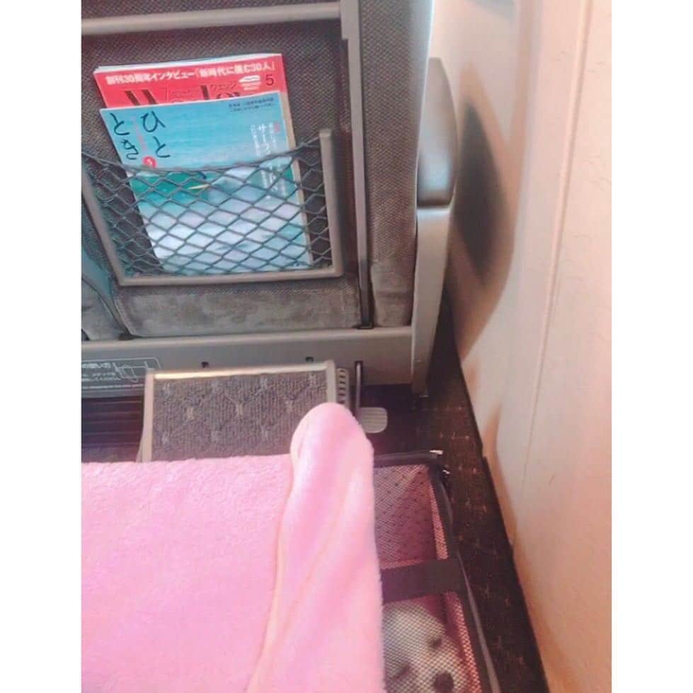 本田裕子さんのインスタグラム写真 - (本田裕子Instagram)「【その後の急展開と、最短の有難い流れ】 . 前回の記事に書きましたが、一昨日、かかりつけの先生が都内の大学病院に電話したところ、まりんの初診が連休明けになるとのことで、私はまた岡山の病院に電話しました。 . 先週の土曜日も一昨日も☎︎ 私が必死にまりんの話をしていたら🐶、「明日の始発で来てください」と言われ、昨日🚅6時の始発に乗って、まりんを連れて岡山に。 （当初は最短で週末だと伺っていたのに&実際🐶混んでいた中、本当に有難いです） . まりんは昨日そのまま入院し、CT検査をはじめ、様々な検査や診察をしていただき、明日手術をします。 . 検査や診断の結果、まりんの肝臓は正常なワンコの3分の1しかなく（小さく）、肝臓内の（必要な）血管の発達もほとんどない状態の門脈シャントで、一度にシャント血管を閉鎖すると、極度に門脈圧が亢進して門脈高血圧症（チアノーゼ、腸内毒素によるショックや心拍数の増加などの発作）が起きる可能性が高い（発作が起きたら24時間以内に死亡する可能性が高い）から、明日は部分結紮にとどめて肝臓内の血管の発達（と肝臓の発達）の促すことになりそう。 . そして、2ヶ月後、再手術することに。 （シャントのワンコは、7割が一度の手術で済むらしいのですが、まりんの場合は二度必要になりそう） . で、シャント結紮の合併症として、術後に原因不明のてんかんや痙攣状態が起きることがあって、それが起きた場合、そこからの回復の可能性は低いらしく、又、元々体内に毒素が巡っている状態でもあるほか、体に十分な糖分の蓄えがないこともあり、低血糖の問題も起きやすいとのこと。 . ですが、こちらの先生はそれらも熟知されていて、肝臓やシャントのスペリャリスト。 いろいろ詳しく丁寧にお話して下さり、動物愛に溢れていて、あたたかいお人柄で、強くて優しいお方で、心から信頼しています。 . まりんは今の状態だと余命1年だとおっしゃっていましたし、最短で最高の名医に巡り会えたこと、本当に恵まれています✨ . あと、もしまりんを先に避妊手術していたら、麻酔から目が覚めていなかったとのことで、本当まりんは強運の🐶です❣️ . CT検査の全身麻酔でも、まりんはかなり麻酔から覚めるのが遅かったみたいで。 （先生は想定済みで検査して下さいました） . 今回、一緒に避妊手術もしていただくのですが、まりんは肝臓が小さくお腹を開けてみて耐えられそうになければ、肝臓を育ててからの次回になるかもです。 . 先生は、「手術してしっかり治して、まりんちゃん本来の寿命15年、いや18年に戻しましょう！」ということで、先生は口にはしなかったけど、自信に満ちていました✨ . わたしはまりんの生命力や、先生を信頼していますし、これだけ沢山の愛を沢山の方から頂戴しているハッピー姫🐶💕 （門脈シャントはほとんどが先天性のもので、無謀なブリーディング（繁殖）が生み出していたり、お母さんが妊娠中に体調を崩したり等、してなるそうで、純真無垢で無邪気なまりんは本来の寿命に戻ります！！） . ここは岡山でもかなりの山奥で、いろいろ大変だったけど、ほんと来て良かった。 . 又、わたし自身もたくさんの幸運や、あたたかい人との出会いに恵まれています。 . そもそもかなり離れたところにしか宿がなくて、私は福岡の実家に帰ろうと思っていたけど体力的にヘロヘロでw 時間も遅くなり、わりと近くの宿が残り1室とれたり、開いてないお蕎麦屋さんのおばちゃんが私が1人キョロキョロしてたら開けてくれて、お蕎麦を出してくれたり（そもそも他にお店もなかった）宿の方やタクシーの運転手さんはじめ他にも沢山🙏✨（沢山エピソードあるから機会があれば又ゆっくり♡） . そして、今わたしは不思議と凄く冷静です✨ . まずは明日の手術。 . すべてを信頼して委ねます。 . .」4月24日 20時08分 - rinrin_yuko