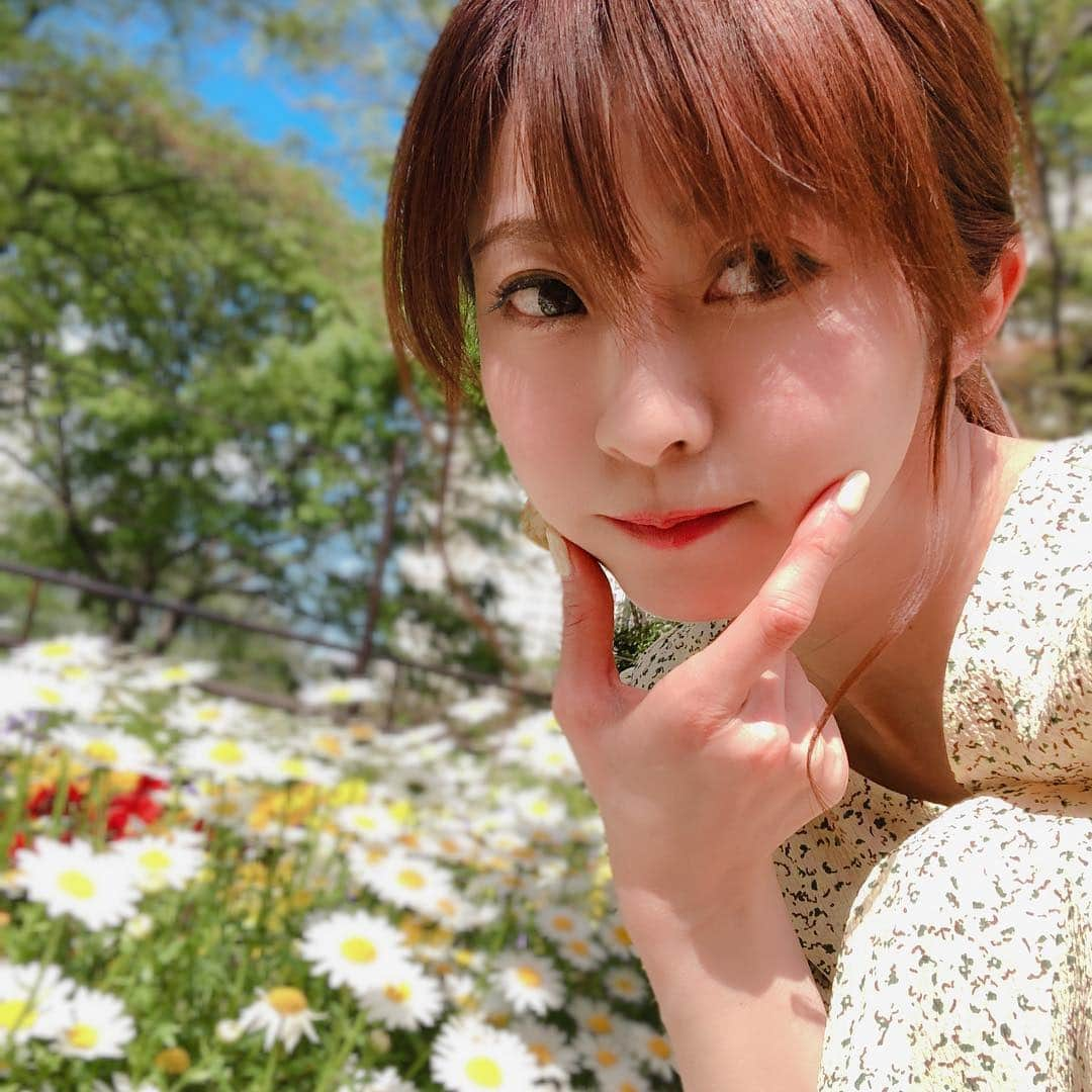 折原みかさんのインスタグラム写真 - (折原みかInstagram)「マーガレット🌼 は、かわいいけどややくさめ笑 #bluesky #マーガレット #flowers #公園 #新宿 #日本 #japanesegirl #japan #sinjuku #新宿中央公園 #青空とわたし #お花畑 #花壇 #お花 #おはなとわたし #自撮り部 #ファインダー越しの私の世界 #自撮りポートレート #snow #model #Sサイズモデル #mikaorihara #followme #ポニーテールアレンジ #黄色のワンピース #ココディール #見た目に騙される #ポカポカ陽気 #春の風 #春って可愛い」4月24日 20時10分 - mikaorihara