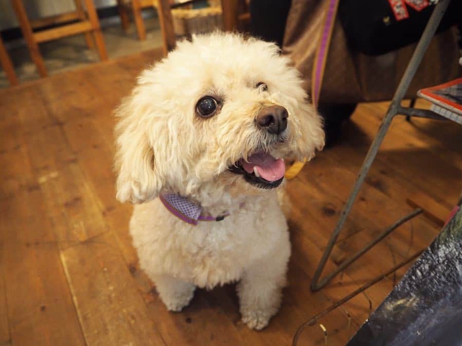 maruku. café のグルメインスタ