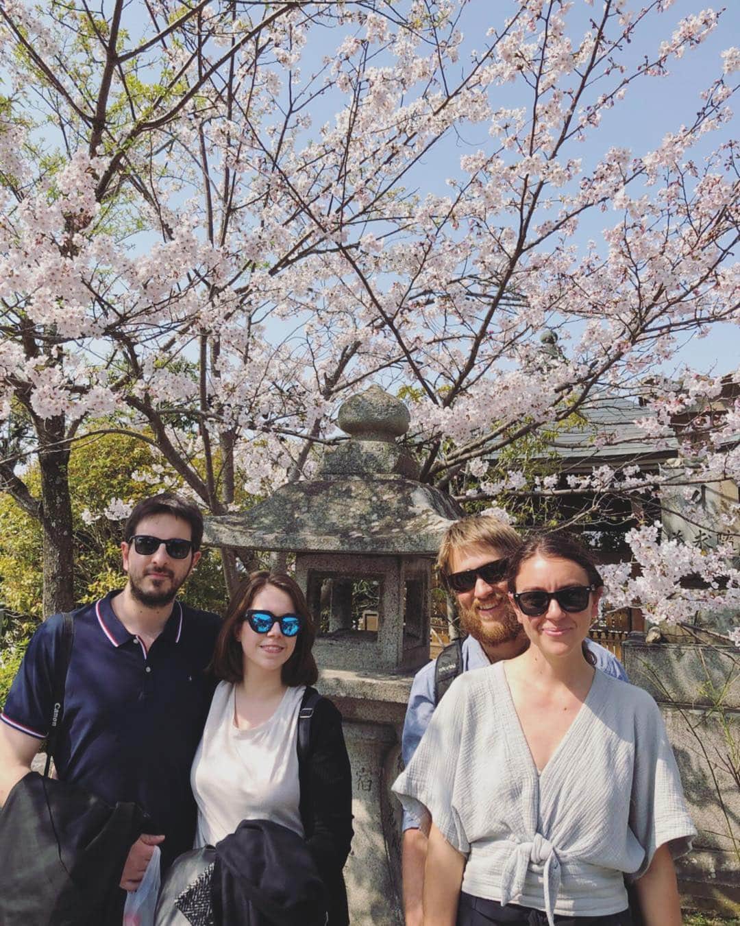 MagicalTripさんのインスタグラム写真 - (MagicalTripInstagram)「Welcome to @Magicaltripcom ⠀⠀⠀ “Travel Deeper with a Local Guide!” ⠀⠀⠀ -------------------------------------------------⠀⠀⠀ Tea Ceremony Experience in Kyoto!⠀ The Japanese Tea Ceremony is a ritual in which tea is prepared and served, and it's considered one of the classical Japanese arts.⠀ 🍵：Kyoto Tea Ceremony & Kiyomizu-dera Temple Walking Tour⠀ 📷：Magical Trip Guide Yuto⠀ -------------------------------------------------⠀⠀⠀ 【🌀What is #Magicaltrip 🌀】⠀⠀⠀ *⠀⠀⠀ Unique travel experiences with local guides in Japan! 🇯🇵🇯🇵⠀⠀⠀ Our local guides will take you to the local and hidden places in Japan!⠀⠀⠀ *⠀⠀⠀ Why don’t you make your special travel experience more unique and unforgettable with us? ⠀⠀⠀ *⠀⠀⠀⠀⠀ 【😎Tour Information😎】⠀⠀⠀ Please check out our unique tours in Japan👇👇⠀⠀⠀ *⠀⠀⠀ *⠀⠀⠀ Bar Hopping tours🍶in Tokyo, Osaka, Kyoto, and Hiroshima, discovering the local izakaya in Japan! 🍻🍻⠀⠀⠀ *⠀⠀⠀ Food tours are not all about sushi🍣but also Japanese traditional food such as okonomiyaki, oden, sashimi, yakitori 😋😋⠀⠀⠀ *⠀⠀⠀ Cultural-Walking tours🍀in Asakusa, Nakano, Akihabara, Tsukiji, Togoshiginza, Yanaka, Ryogoku, where you can dive into the deep Japanese cultures! 🚶🚶⠀⠀⠀ *⠀⠀⠀ Explore Tokyolife with cycling tour🚴🚵, club-patrol💃, Karaoke night🎤 and sumo tour! 👀👀⠀⠀⠀ *⠀⠀⠀ *⠀⠀⠀ *⠀⠀⠀ ⭐️Book our tours on the link of @Magicaltripcom profile page! ⠀⠀⠀ *⠀⠀⠀ #japan #japantrip #japantravel #japantour #kyototrip #kyototravel #greentea #japanesetea #visitkyoto #lovekyoto #japaneselocal #kyotofoodie #japanfood #ilovejapan #teaceremony #discoverjapan #visitjapan #japanesevegan #sakekanpai #kimono #kimonostyle #magicaltripcom #kiyomizutemple #kiyomizu #japaneseactivity #kyototour #japantour #kyotoexperience #lovekyoto」4月24日 20時35分 - magicaltripcom