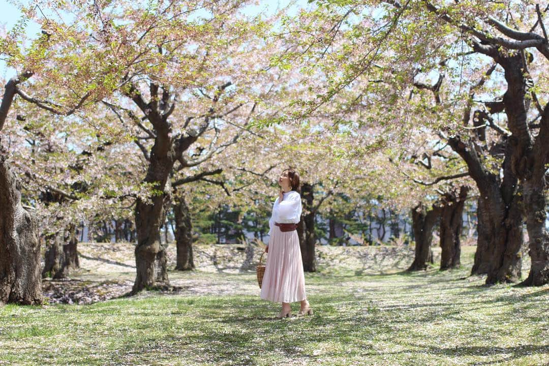 sayoko_betseyさんのインスタグラム写真 - (sayoko_betseyInstagram)「We took the 🌸baton from the main island🇯🇵 Hooray! . . 本日ついに北海道の南、函館市、 そしてなんと午後には札幌でも、桜の開花発表が🌸🌸 桜前線の最終バトン、今年も無事に受け取りました。 . . 写真は2018年5/7の五稜郭公園 GWの終わりはもうほとんど葉桜。 それでもピンクのカーペットがとても綺麗で天国みたいだったけど、今年は桜が残ってるうちに函館行ってみたいなぁと企んでます。 連休だからどうせ混んでるし、お宿も取らずにサクッと作戦。上手く行くのか、、、 でも楽しみ🌸🌸 . #hakodate #hokkaido #hokkaidolikers #cherryblossom #函館 #五稜郭 #北海道 #函館旅行 #北海道旅行 #桜 #北国の春 #北海道に恋してる #昔から好きなこと #週末野心」4月24日 20時47分 - sayoko_betsey