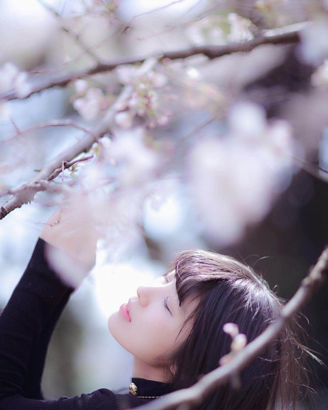 東雲れいかさんのインスタグラム写真 - (東雲れいかInstagram)「. . . . . . #cherryblossom #桜 #japanese #FLOWLIGHT #OrderDoll #japanesegirl #ボブ  #東京 #東京カメラ部 #tokyo_portrait #sunset #autumn #japan #instagood #photography #photo #instagood #love_bestjapan #nipponpic #nippon_lovers #photo_shorttrip #photo_life_best #olympus #nocton #pt_life_ #good_portraits_world #東京センチメンタル」4月25日 6時41分 - raychel.6