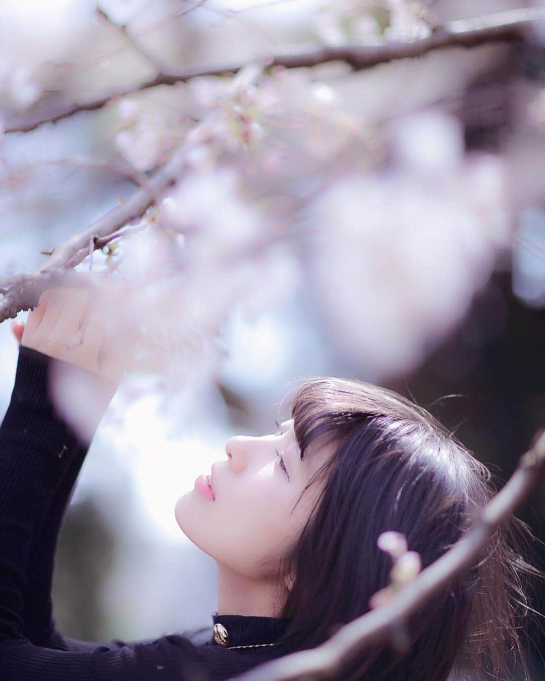 東雲れいかのインスタグラム：「. . . . . . #cherryblossom #桜 #japanese #FLOWLIGHT #OrderDoll #japanesegirl #ボブ  #東京 #東京カメラ部 #tokyo_portrait #sunset #autumn #japan #instagood #photography #photo #instagood #love_bestjapan #nipponpic #nippon_lovers #photo_shorttrip #photo_life_best #olympus #nocton #pt_life_ #good_portraits_world #東京センチメンタル」