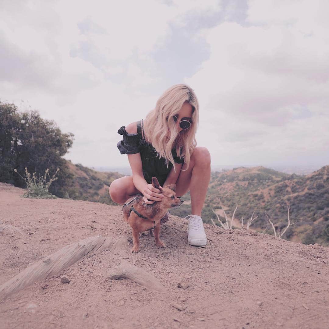 Kalyn Nicholsonさんのインスタグラム写真 - (Kalyn NicholsonInstagram)「puppy adventures 4.0 🌸 Sending the biggest of thank you’s to whatever force is at play for bringing this bundle of love and joy into my life 6 years ago.  My forever ride or die, you seriously just keep getting cuter 🦊」4月25日 7時15分 - kalynnicholson13
