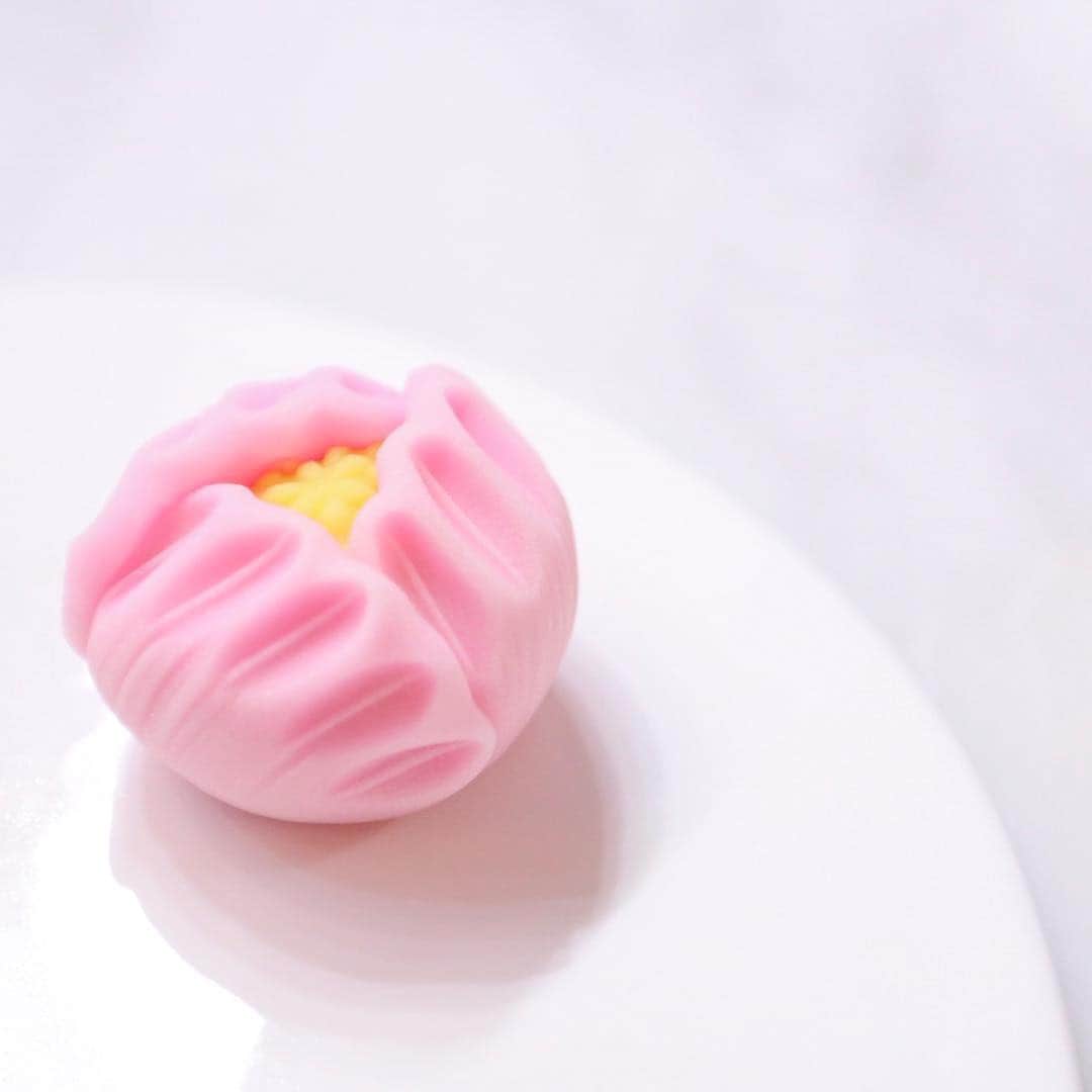 Toru Tsuchieさんのインスタグラム写真 - (Toru TsuchieInstagram)「今日の和菓子はねりきりで作った牡丹です。 ねりきりとは白餡に餅や芋を混ぜて作った和菓子で 茶道 で使われる「主菓子」の一種です。 撮影 用に作成しました。  フェイスブックページのいいね！もよろしくお願いします。 https://www.facebook.com/shishisu/ Today's wagashi is peony wiith Nerikiri. The Nerikiri is the material of wagashi made by mixing the rice cake and yam in white bean. Is a kind of "Jounamagashi" as used in the tea ceremony. The sweets I've made for the shooting.  #福泉堂  #和菓子  #foodfeed #上生菓子 #my_eos_photo #出雲  #花 #カメラ好きな人と繋がりたい  #写真好きな人と繋がりたい　 #Japan_of_insta #ツァイス写真部 #handmade　 #foodlife #ミラーレス #wagashi  #foodpost #器  #blossom #gâteau #ig_color  #phos_japan #Mignon  #igfood #craftsman #Japan_art_photography #photooftheday #igers #sweets #smile #delice」4月25日 7時32分 - choppe_tt