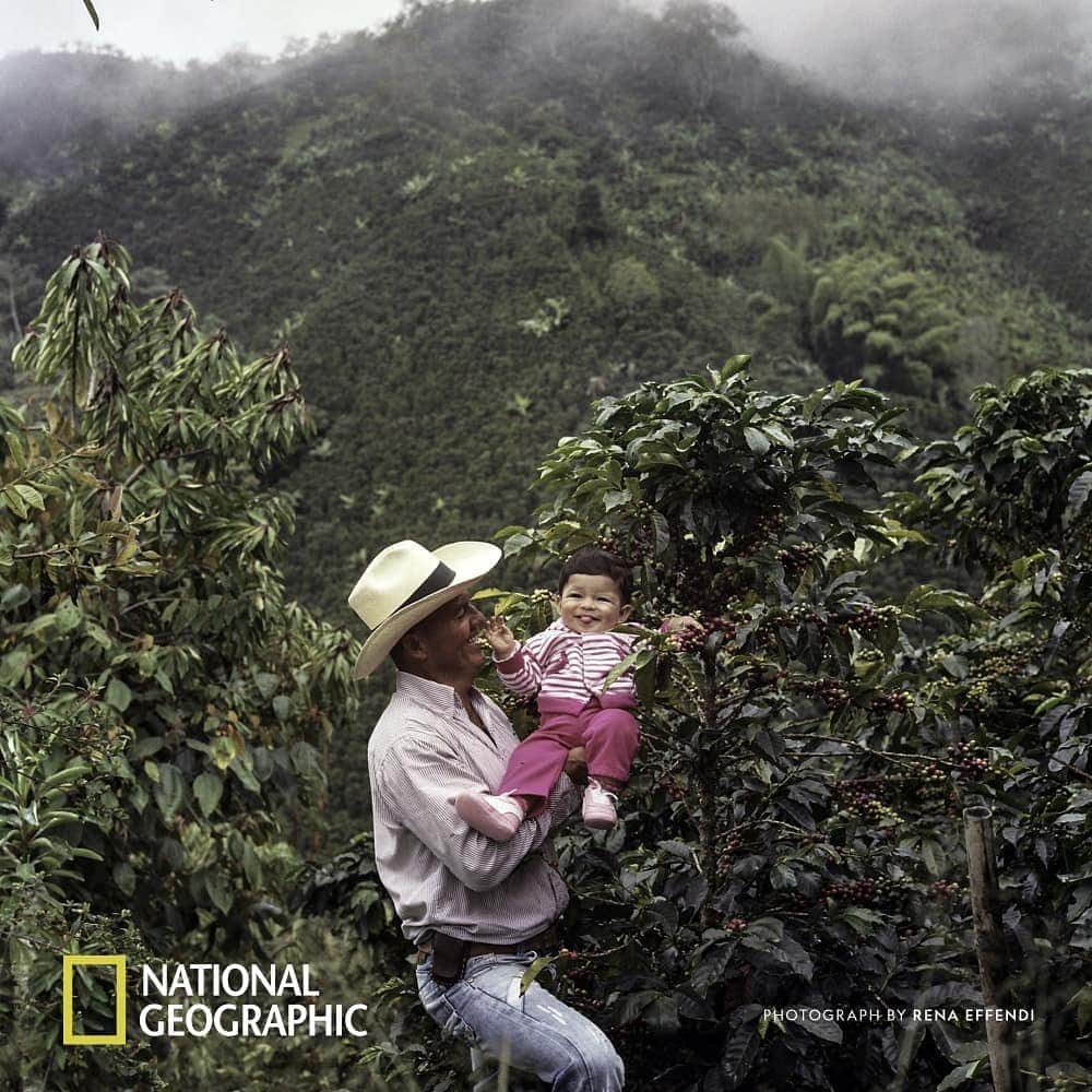 Nespressoさんのインスタグラム写真 - (NespressoInstagram)「Find out how we’ve been helping local famers like Alba Maria adapt to climate change. Content partner @NatGeo @renaeffendiphoto  #Nespresso #BeyondTheBean」4月24日 23時00分 - nespresso