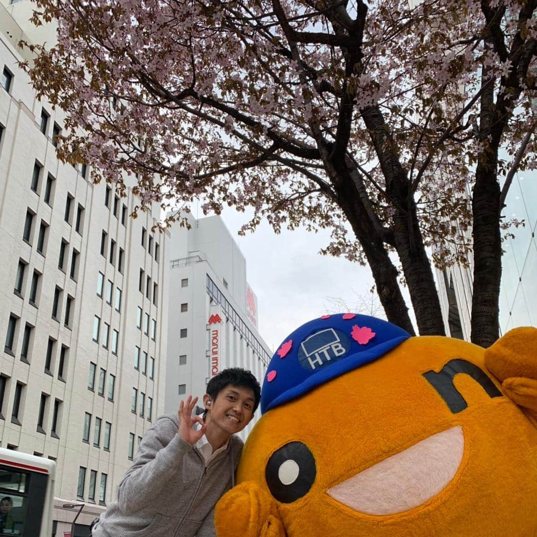 菊地友弘さんのインスタグラム写真 - (菊地友弘Instagram)「札幌の桜は今日開花発表！ 標本木はこれから花をたくさんつけていきますが、市内には既に見頃を迎えている桜が！ 皆さんの近所にも咲いている桜、ありませんか？ #札幌市資料館#大通西13丁目 #シャンテ 横#南1条西1丁目 #新川通り#桜並木 #桜#サクラ#開花 #HTB#イチオシ‼︎#onちゃん#菊地友弘」4月24日 23時03分 - htb_kikuchitomohiro