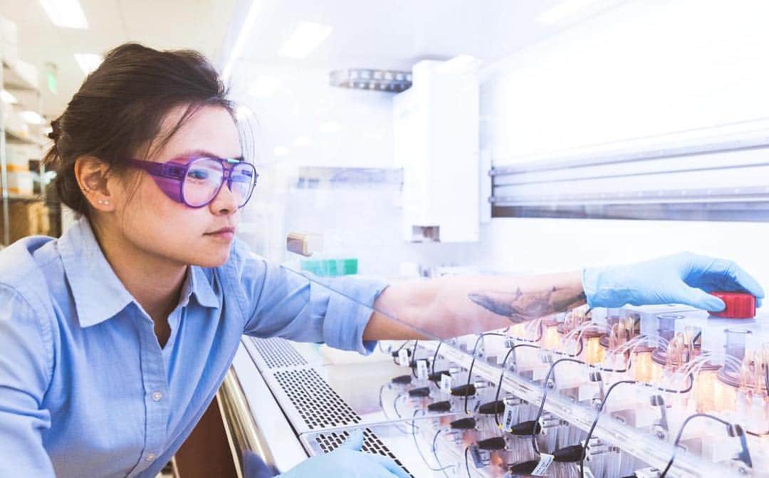 バイエルさんのインスタグラム写真 - (バイエルInstagram)「Fermentation Engineer, Kar Mun Neoh, optimizes growing conditions for strains destined for large-scale fermentation  Almost 80% of Earth’s atmosphere is nitrogen but for the majority of plants and animals, it is unusable in this form. Most plants get the nitrogen they need to grow from substances in the soil, and animals by eating those plants (or other animals). This creates a challenge for farmers around the world. To meet the ever-growing demand for food, farmers need to use synthetic fertilizers to top up the supply of nitrogen and other nutrients in the soil so they can continue to grow and harvest crops to meet the world’s food needs.  #science #lifescience #company #bayer #facts #sciencefacts #innovation #womeninscience」4月24日 23時45分 - bayerofficial
