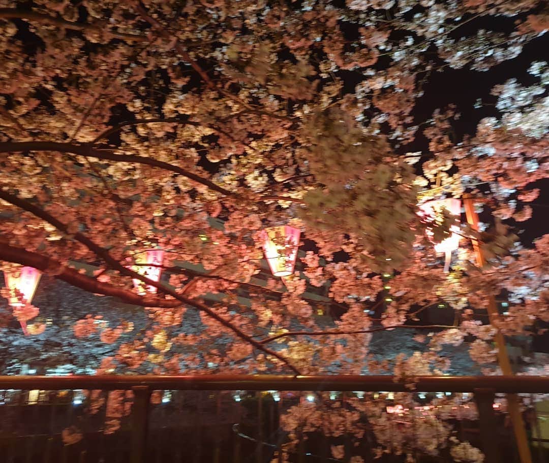 キム・スンスさんのインスタグラム写真 - (キム・スンスInstagram)「. . . . 왕벚꽃🌸 . 나카메구로 벚꽃인지 왕 팝콘인지😯 . 그냥 막들어갔는데 인생 장어덥밥집~😍 . #일본여행#도쿄#나카메구로#벚꽃#장어덮밥」4月24日 23時55分 - kim_seung_soo71