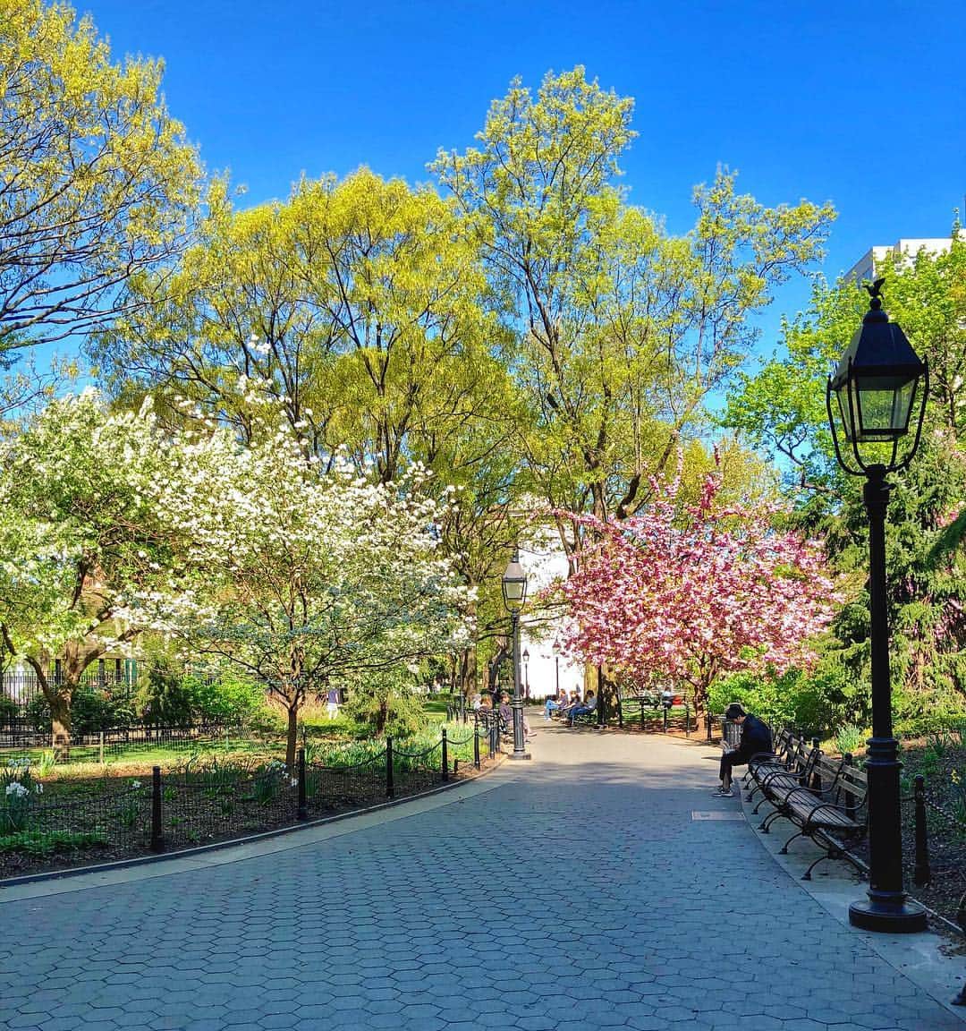 ヒラリー・ローダのインスタグラム：「NYC in the springtime is really something. 😍」