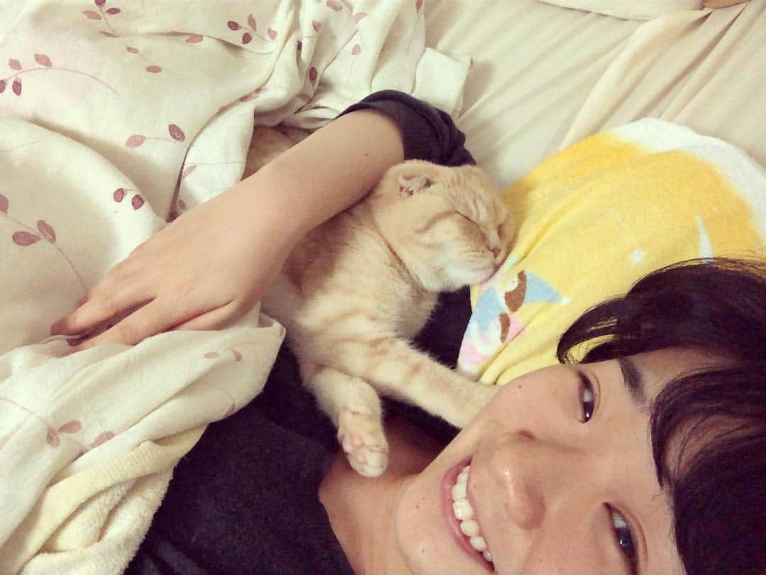 相馬有紀実のインスタグラム：「めっちゃ笑顔なんだけどね、めっちゃ腕痺れてる！！！！！ #猫 #すこてぃっしゅふぉーるど  #もへい #チーム #寝こーズ」