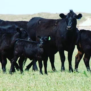 かるび家 梅田店のグルメインスタ