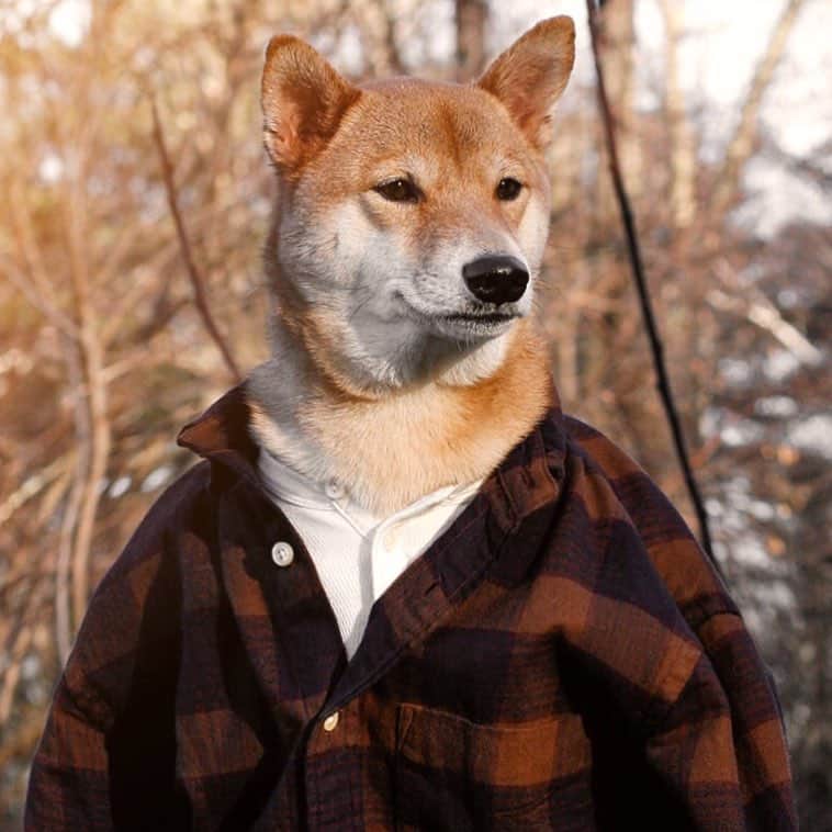 Menswear Dogさんのインスタグラム写真 - (Menswear DogInstagram)「Am I Ryan Gosling yet?」4月25日 1時02分 - mensweardog