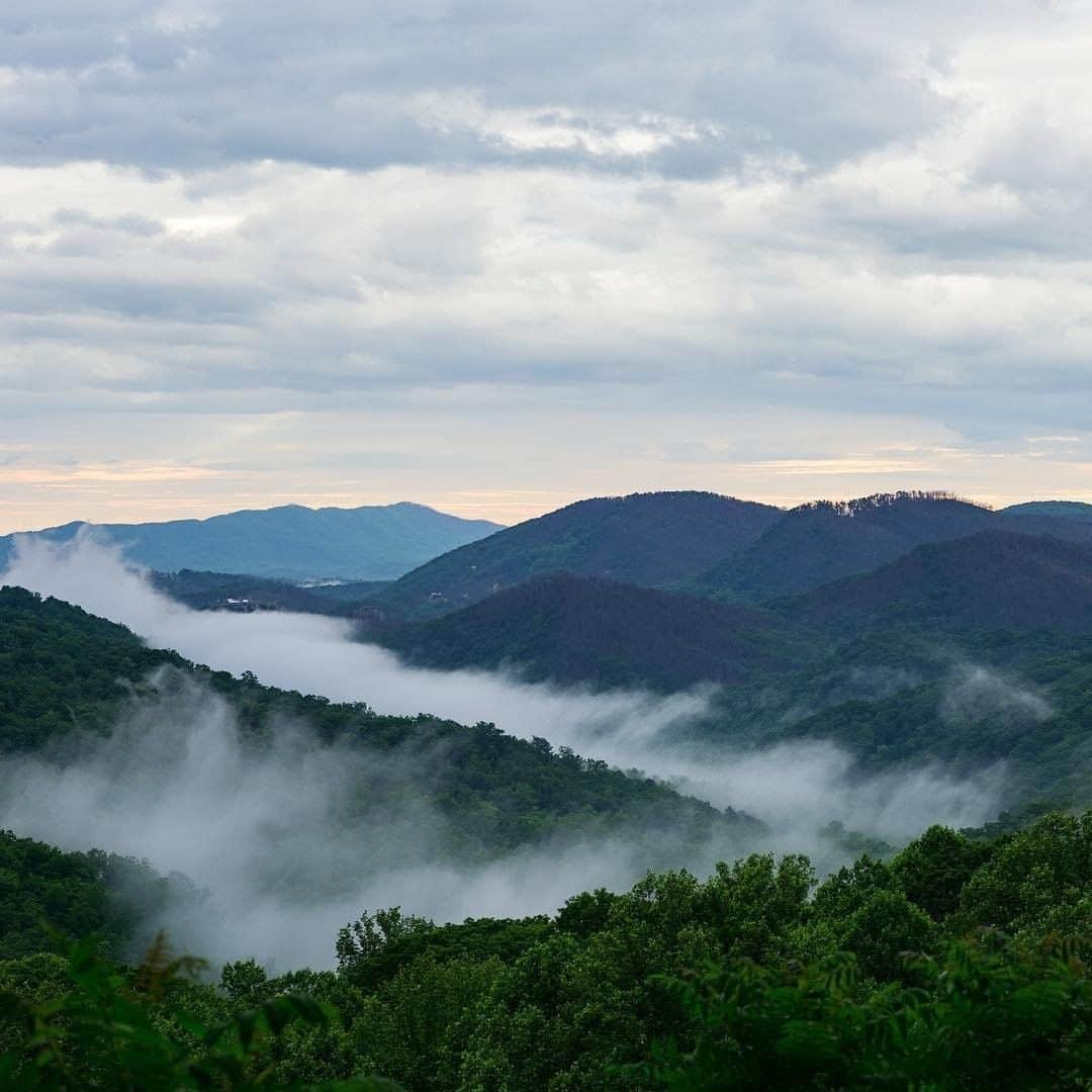 REIさんのインスタグラム写真 - (REIInstagram)「One super famous country singer was an official park ambassador for @greatsmokynps on its 75th anniversary. Do you know who it was? #NationalParkWeek  Photo: @colucy45 in Great Smoky Mountains National Park. #OptOutside」4月25日 1時08分 - rei