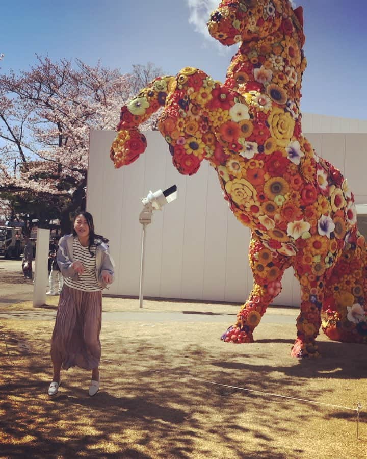 りんご娘のインスタグラム