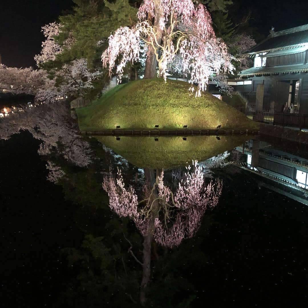 栗原心平さんのインスタグラム写真 - (栗原心平Instagram)「幻想的にもほどがあるw 美しすぎて声を失う…弘前やばし… 人生で一度は見ないと損する。 #栗原心平 #shimpeikurihara #青森 #青森旅行 #青森県庁 #弘前 #弘前城 #弘前公園 #弘前さくらまつり」4月25日 1時49分 - shimpei_kurihara