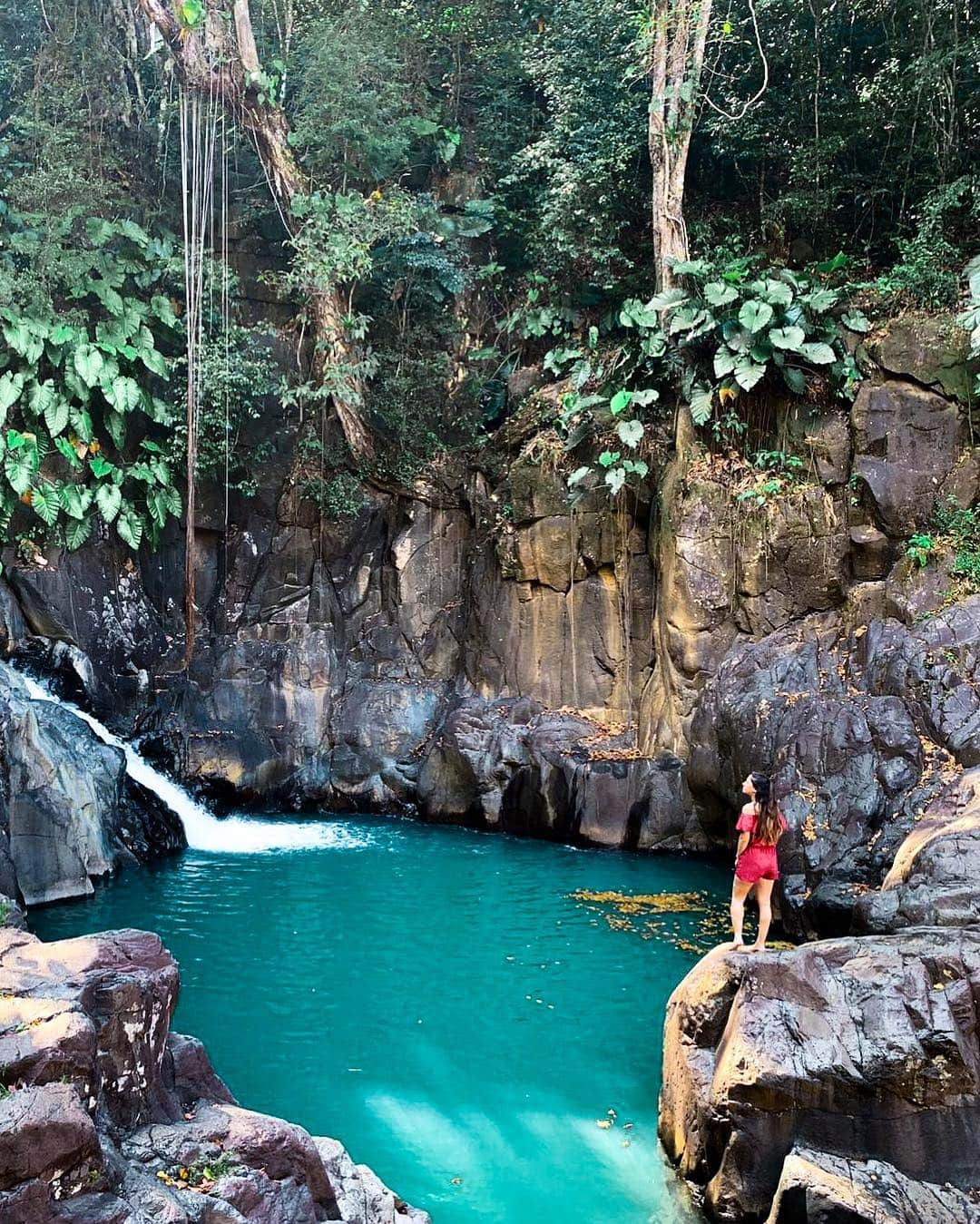 AIR CANADAさんのインスタグラム写真 - (AIR CANADAInstagram)「Good morning, Guadeloupe! Get going with @aircanadarouge’s year-round, non-stop flights ☀️ (📸 @mailan.parneix) . . Bonjour, la Guadeloupe! Envolez-vous avec @aircanadarouge, qui offre des vols sans escale toute l’année pour ce coin de la France sous le soleil des Antilles ☀️ (📸 @mailan.parneix)」4月25日 1時51分 - aircanada