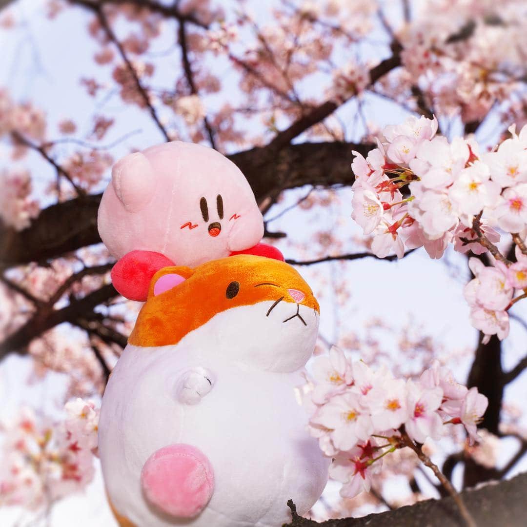 任天堂アメリカさんのインスタグラム写真 - (任天堂アメリカInstagram)「How are you enjoying Spring? Between basking in the cherry blossoms and tasty barbeques, Kirby is making the most of it! Who should he invite to the next get-together?」4月25日 2時03分 - nintendoamerica