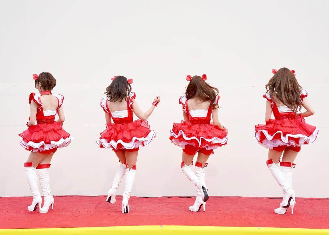 のインスタグラム：「くるくるたーん( ੭ ˙ᗜ˙ )੭  みーにゃとまきにゃんのシンクロすごい‪(❁´ω`❁)‬」