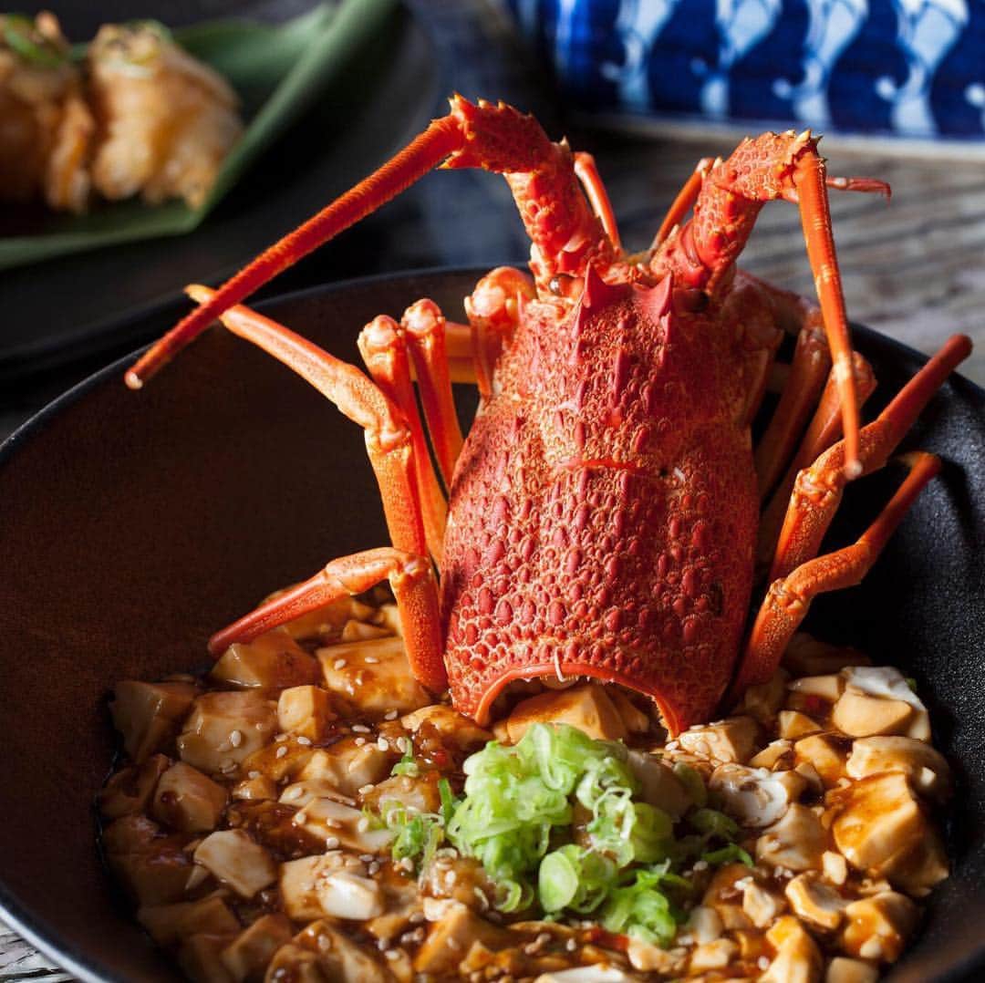 The Venetian Las Vegasさんのインスタグラム写真 - (The Venetian Las VegasInstagram)「There's a lot to love about lobster at @Mott32Vegas. #lobster #yum」4月25日 8時09分 - venetianvegas