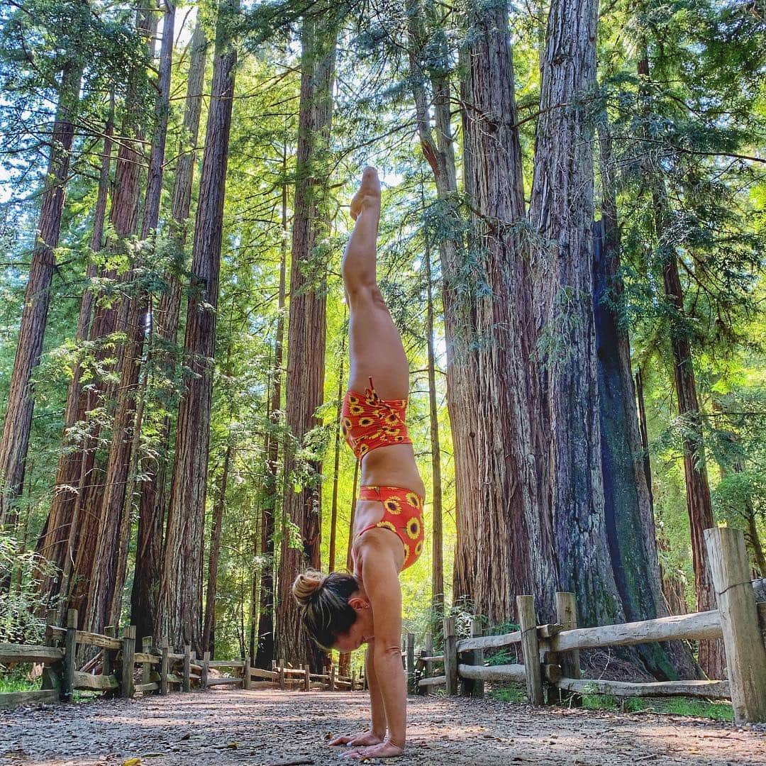 キノ・マクレガ―さんのインスタグラム写真 - (キノ・マクレガ―Instagram)「To stand with these ancient giants if even for only a moment is truly humbling. These beings are some of the oldest life forms on the planet, some dating over 2,000 years old. Think of all the history contained within every ring (one ring for each year of life). Before Jesus Christ was born this tree was a sprout. While Charlemagne King of Franks was coronated as the head of the Holy Roman Emperor these trees stood silently by. And they remained still as Christopher Columbus first landed on the shores of the Americas. Through the War of Independence, the Civil War, WWI and WWII, and into present day, the giant redwoods of California remained. Can you even imagine how it felt to walk these trails as an immigrant from Industrial Age Europe? And can you imagine the hubris and ignorance it misbehave taken to cut down on these trees? I don’t want to live in a world where beings as grand and magnetic as these Redwoods don’t live. _ #practiceyogachangeyourworld #onebreathatatime  Photo @timfeldmannyoga 💗 _ Outfit is the new Chelsea print designed by me for @omstarsofficial x @liquidoactive and just relaxers today. 🌻」4月25日 2時59分 - kinoyoga