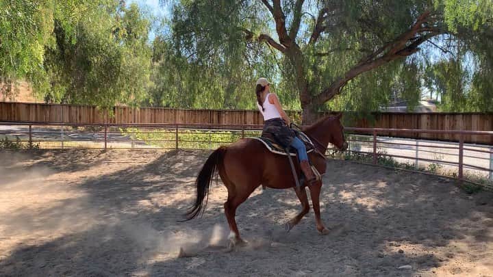 ジャック・レイ・パイルズのインスタグラム：「today I got to learn how to ride a horse and it was absolutely amazing !! thank you to my cousin @tristen314 for setting it up! And thank you to @big_erza @iamhealthyheather for taking time out of your day and teaching us.」