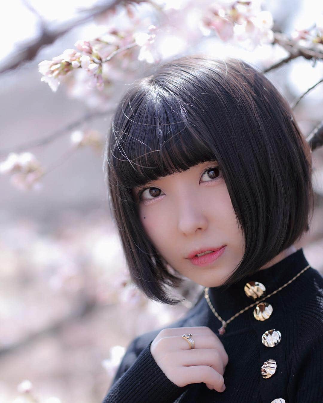 東雲れいかのインスタグラム：「cherry blossom🌸 . . . . . . #cherryblossom #桜 #japanese #FLOWLIGHT #OrderDoll #japanesegirl #ボブ  #東京 #東京カメラ部 #tokyo_portrait #sunset #autumn #japan #instagood #photography #photo #instagood #love_bestjapan #nipponpic #nippon_lovers #photo_shorttrip #photo_life_best #olympus #nocton #pt_life_ #good_portraits_world #東京センチメンタル」